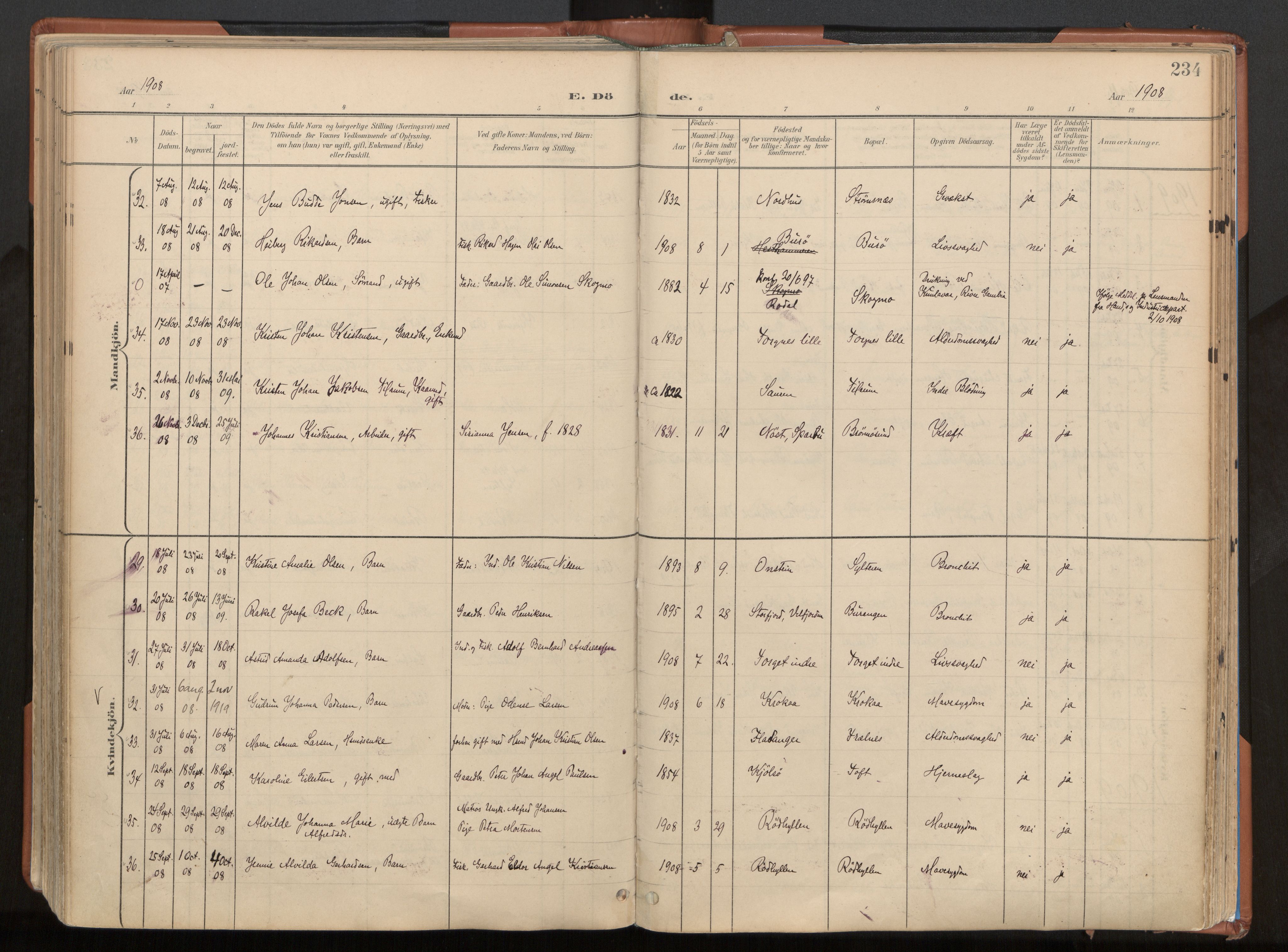 Ministerialprotokoller, klokkerbøker og fødselsregistre - Nordland, AV/SAT-A-1459/813/L0201: Ministerialbok nr. 813A11, 1901-1918, s. 234