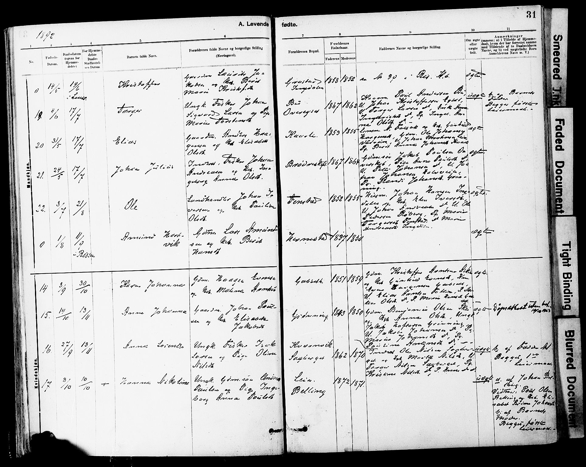 Ministerialprotokoller, klokkerbøker og fødselsregistre - Sør-Trøndelag, SAT/A-1456/646/L0615: Ministerialbok nr. 646A13, 1885-1900, s. 31