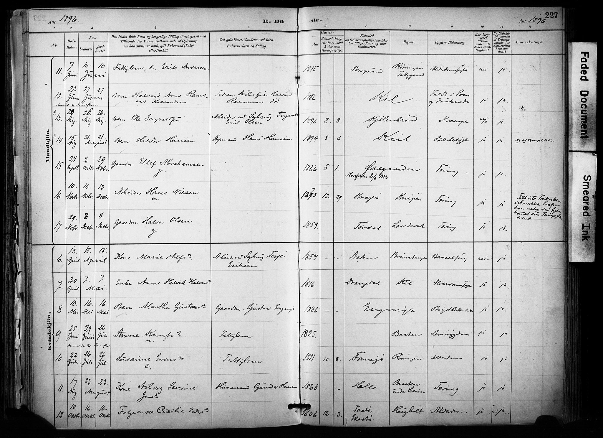 Sannidal kirkebøker, AV/SAKO-A-296/F/Fa/L0015: Ministerialbok nr. 15, 1884-1899, s. 227