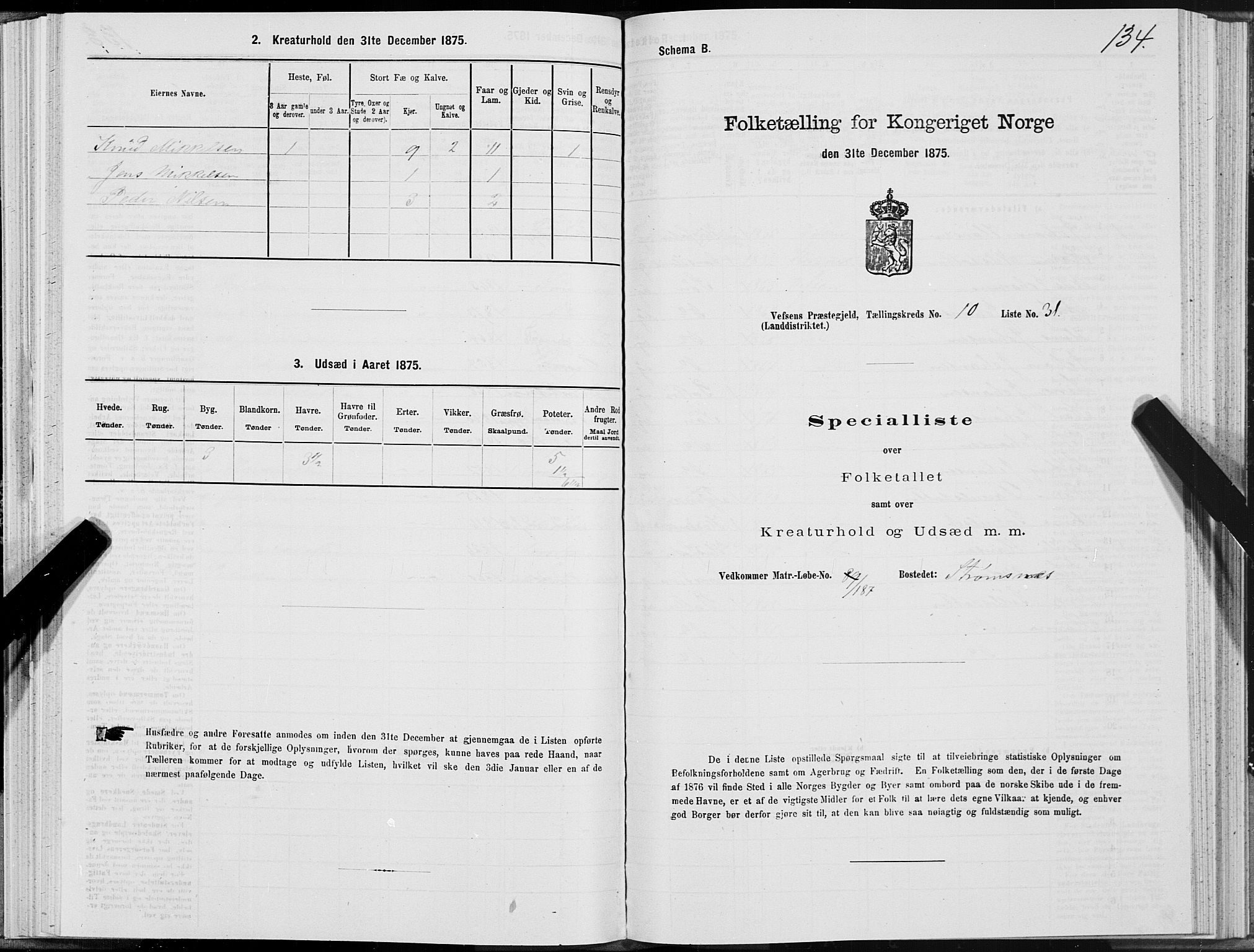 SAT, Folketelling 1875 for 1824L Vefsn prestegjeld, Vefsn sokn, 1875, s. 3134