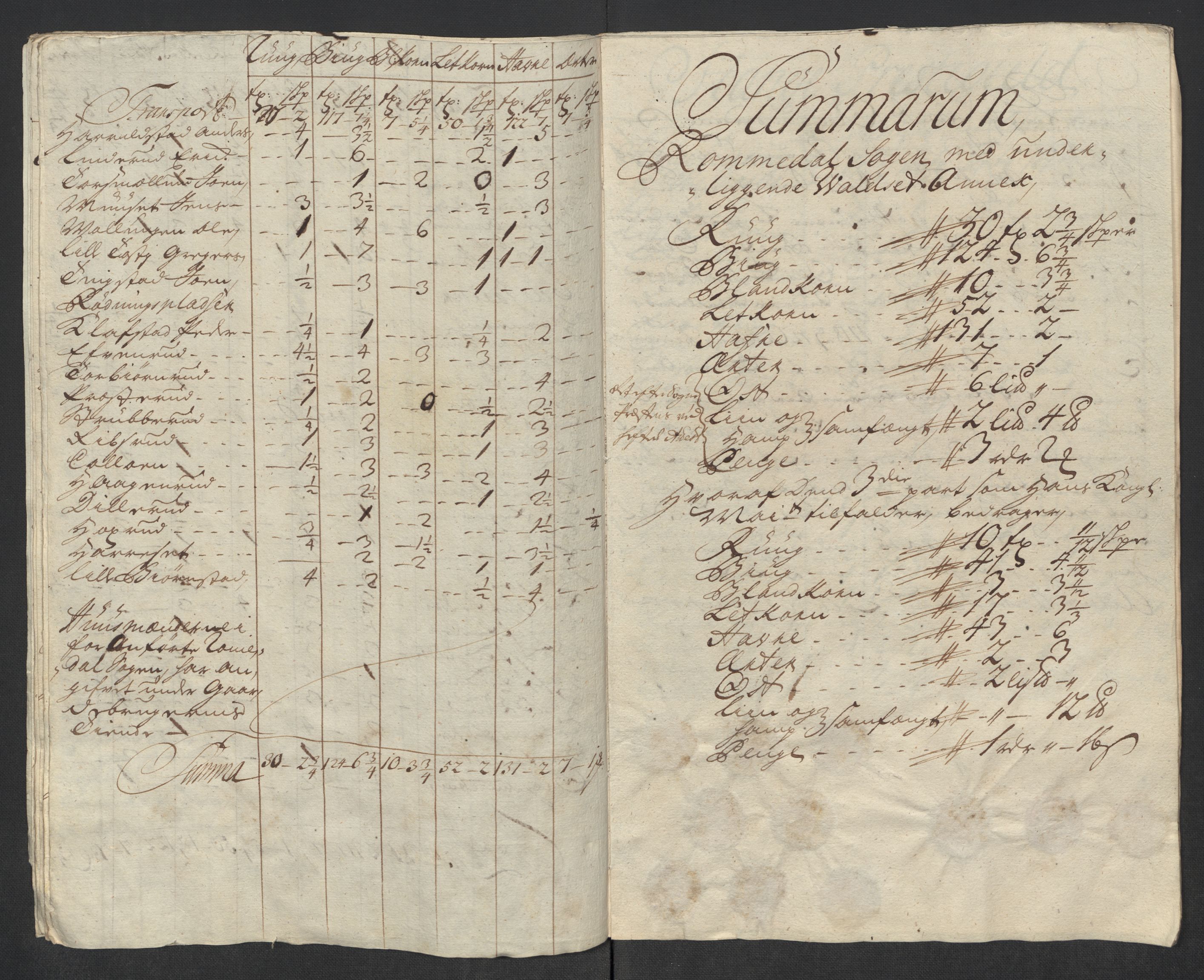 Rentekammeret inntil 1814, Reviderte regnskaper, Fogderegnskap, RA/EA-4092/R16/L1057: Fogderegnskap Hedmark, 1718, s. 238
