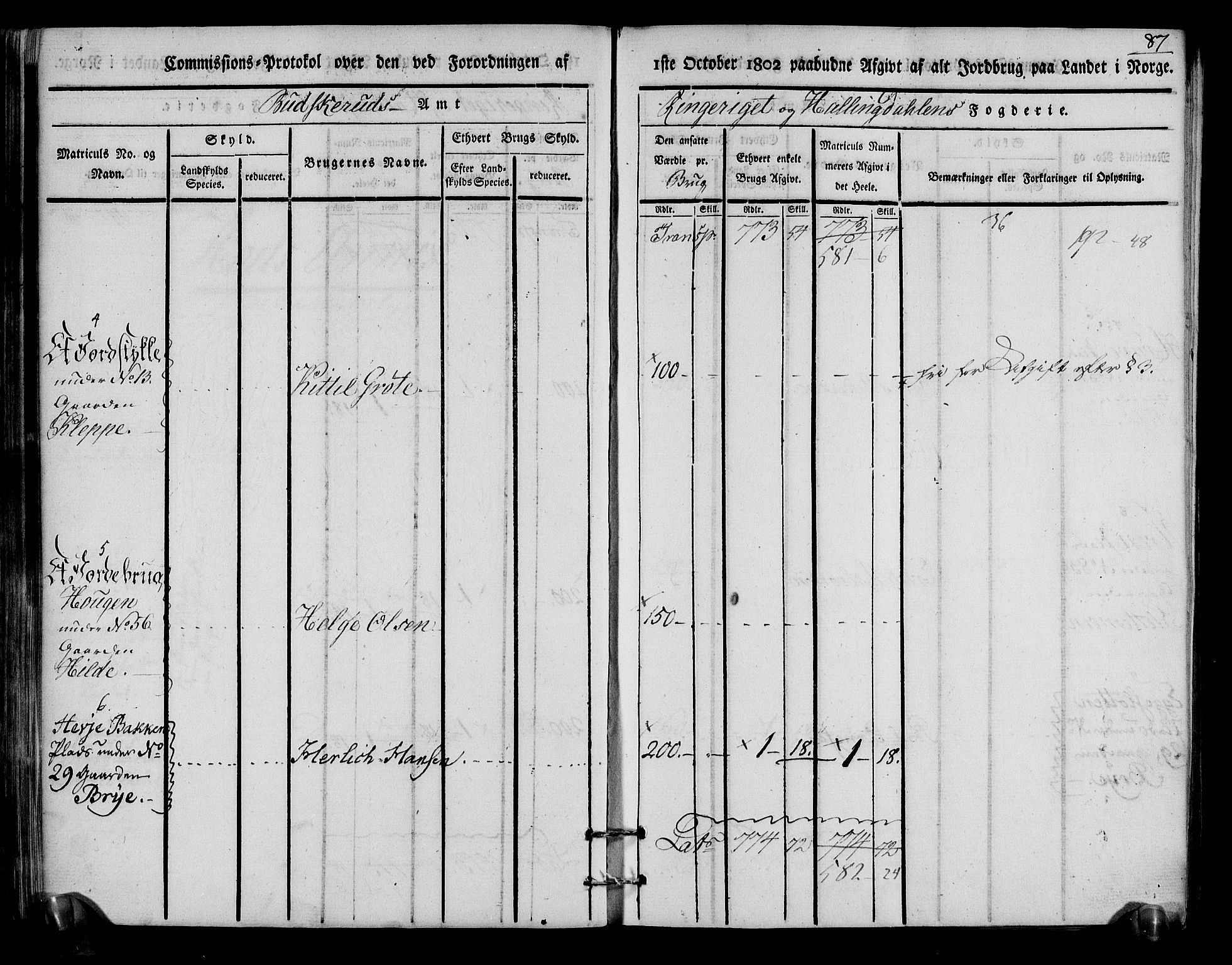 Rentekammeret inntil 1814, Realistisk ordnet avdeling, AV/RA-EA-4070/N/Ne/Nea/L0048: Ringerike og Hallingdal fogderi. Kommisjonsprotokoll for Ål prestegjeld, 1803, s. 91