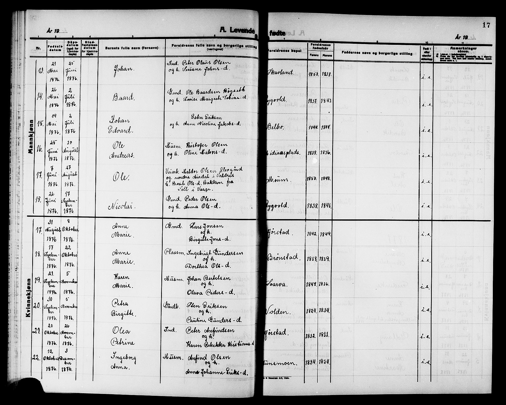 Ministerialprotokoller, klokkerbøker og fødselsregistre - Nord-Trøndelag, SAT/A-1458/749/L0486: Ministerialbok nr. 749D02, 1873-1887, s. 17