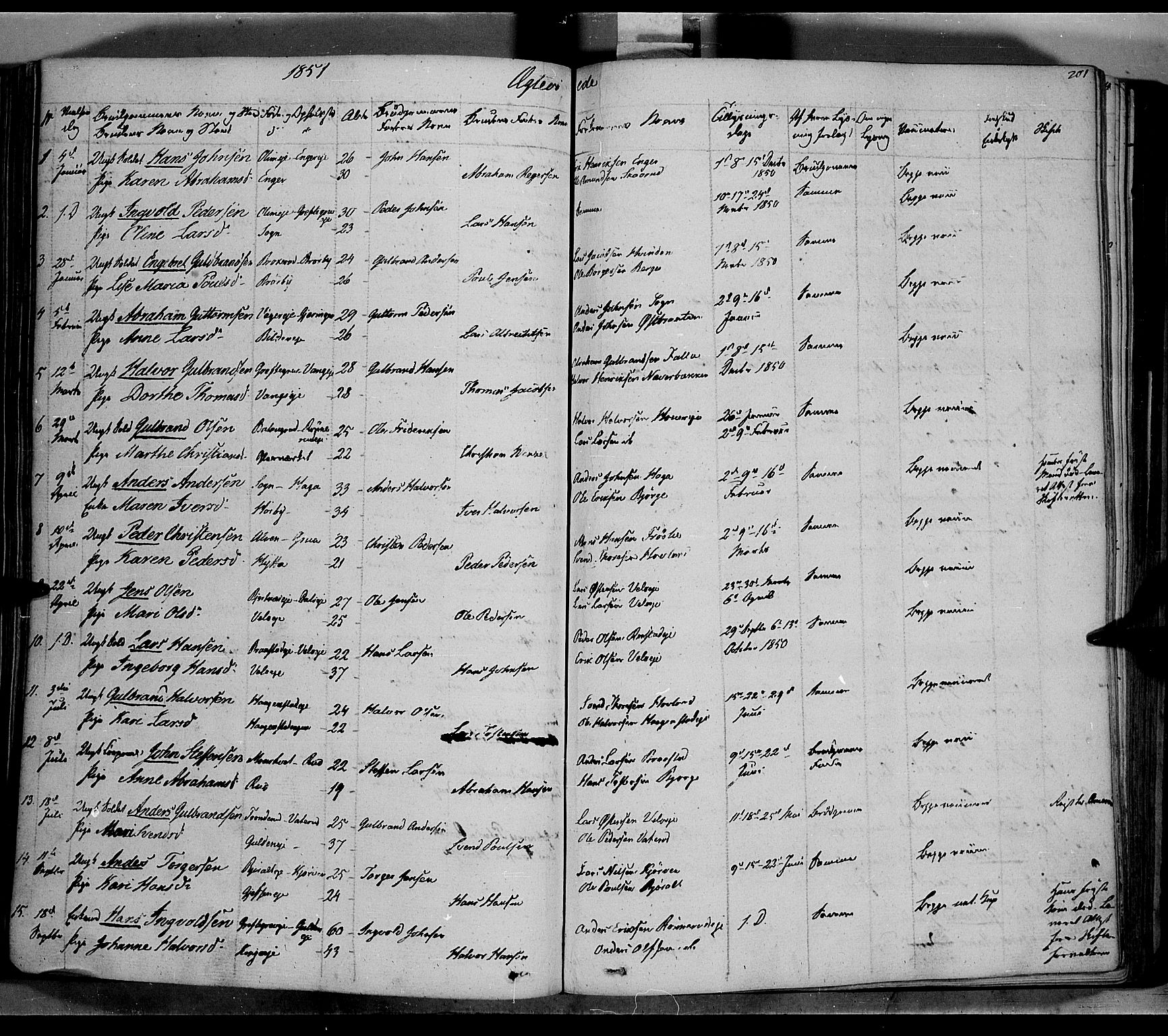 Jevnaker prestekontor, AV/SAH-PREST-116/H/Ha/Haa/L0006: Ministerialbok nr. 6, 1837-1857, s. 201