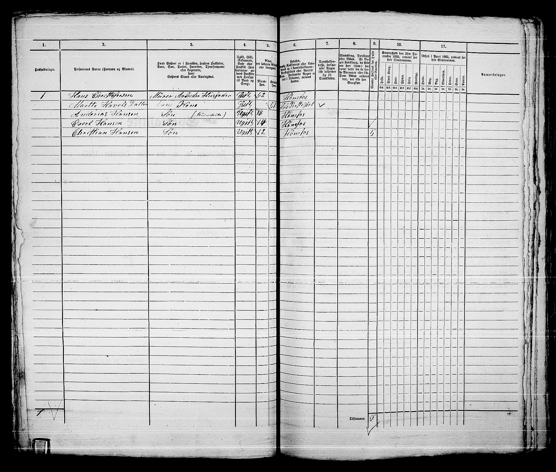 RA, Folketelling 1865 for 0601B Norderhov prestegjeld, Hønefoss kjøpstad, 1865, s. 119