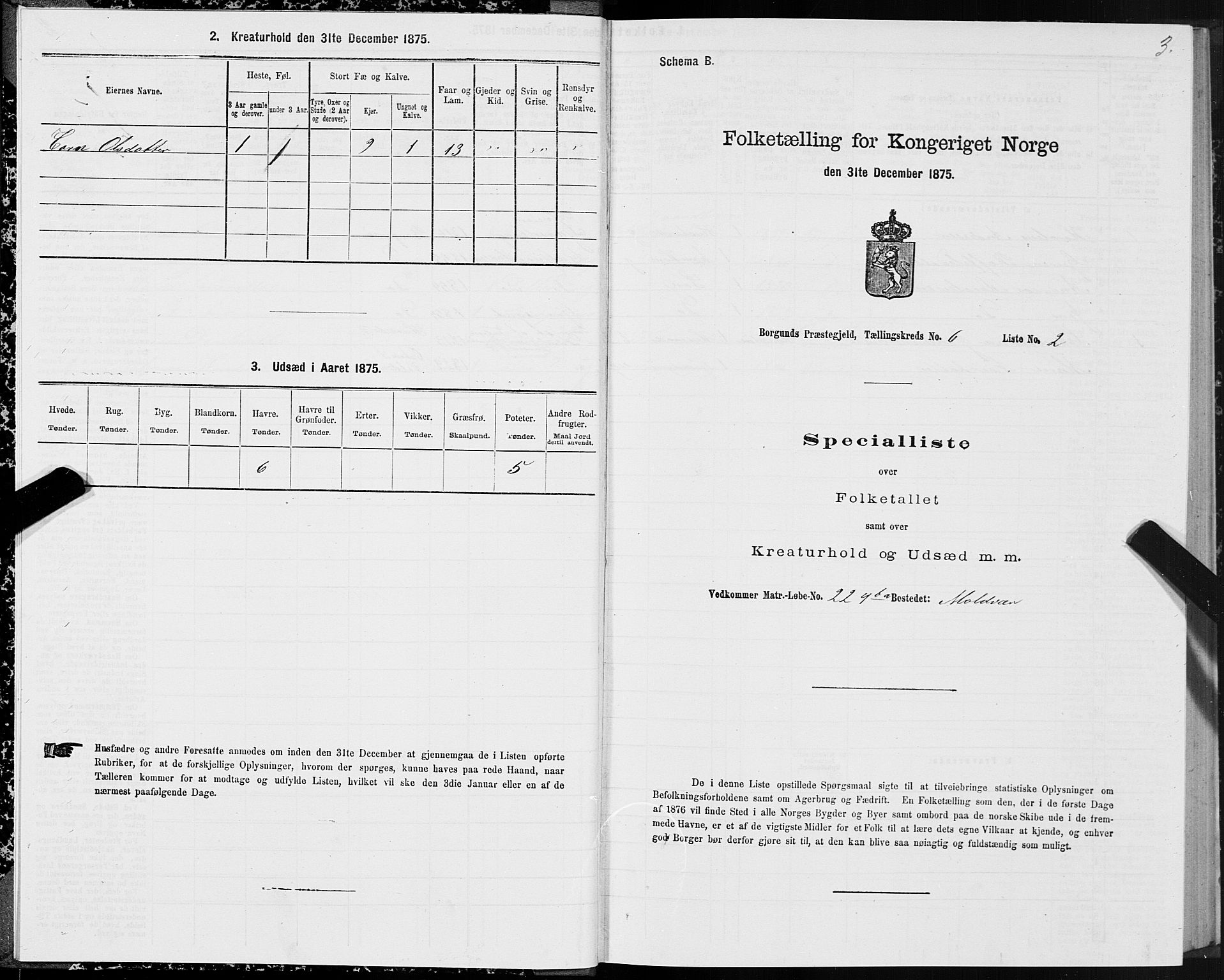 SAT, Folketelling 1875 for 1531P Borgund prestegjeld, 1875, s. 4003