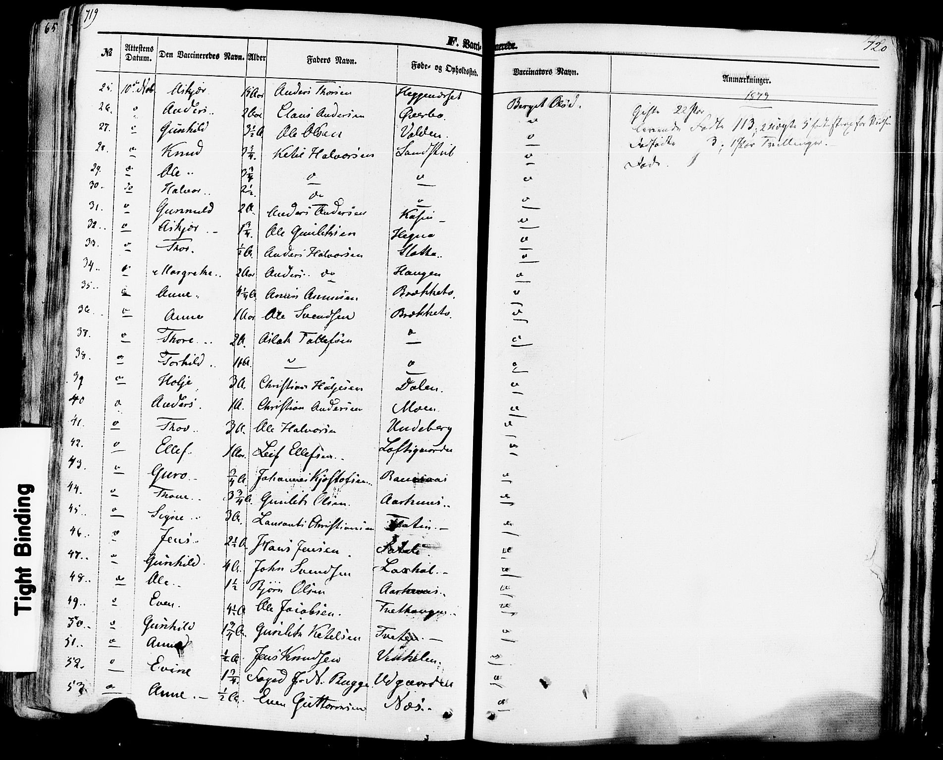 Seljord kirkebøker, AV/SAKO-A-20/F/Fa/L0013: Ministerialbok nr. I 13, 1866-1876, s. 719-720
