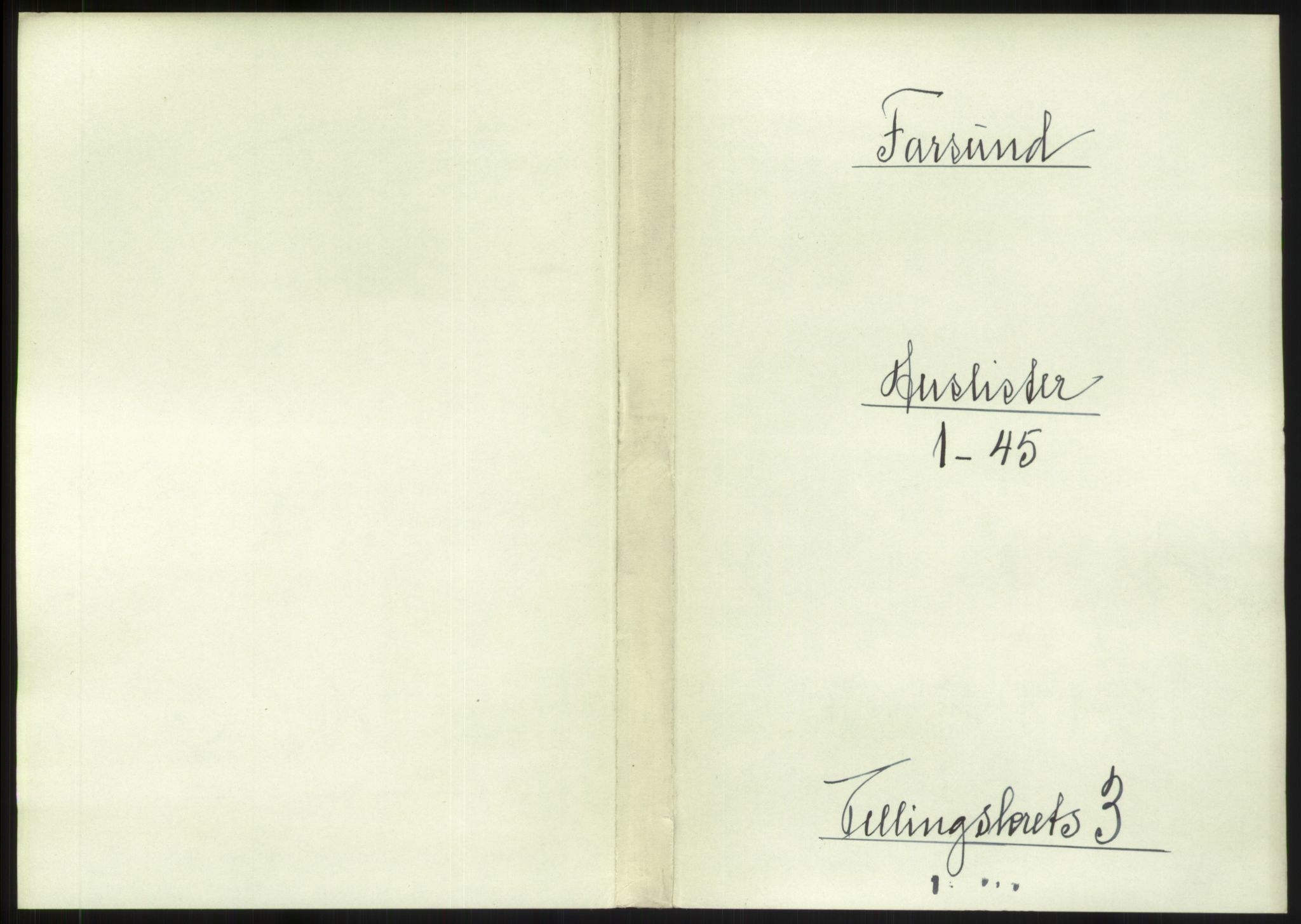 RA, Folketelling 1891 for 1003 Farsund ladested, 1891, s. 234