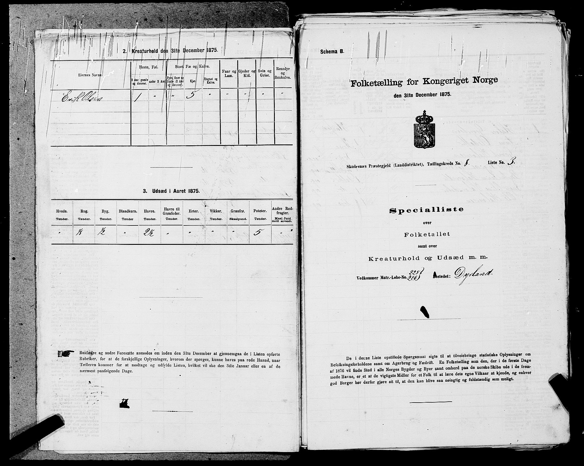 SAST, Folketelling 1875 for 1150L Skudenes prestegjeld, Falnes sokn, Åkra sokn og Ferkingstad sokn, 1875, s. 1055