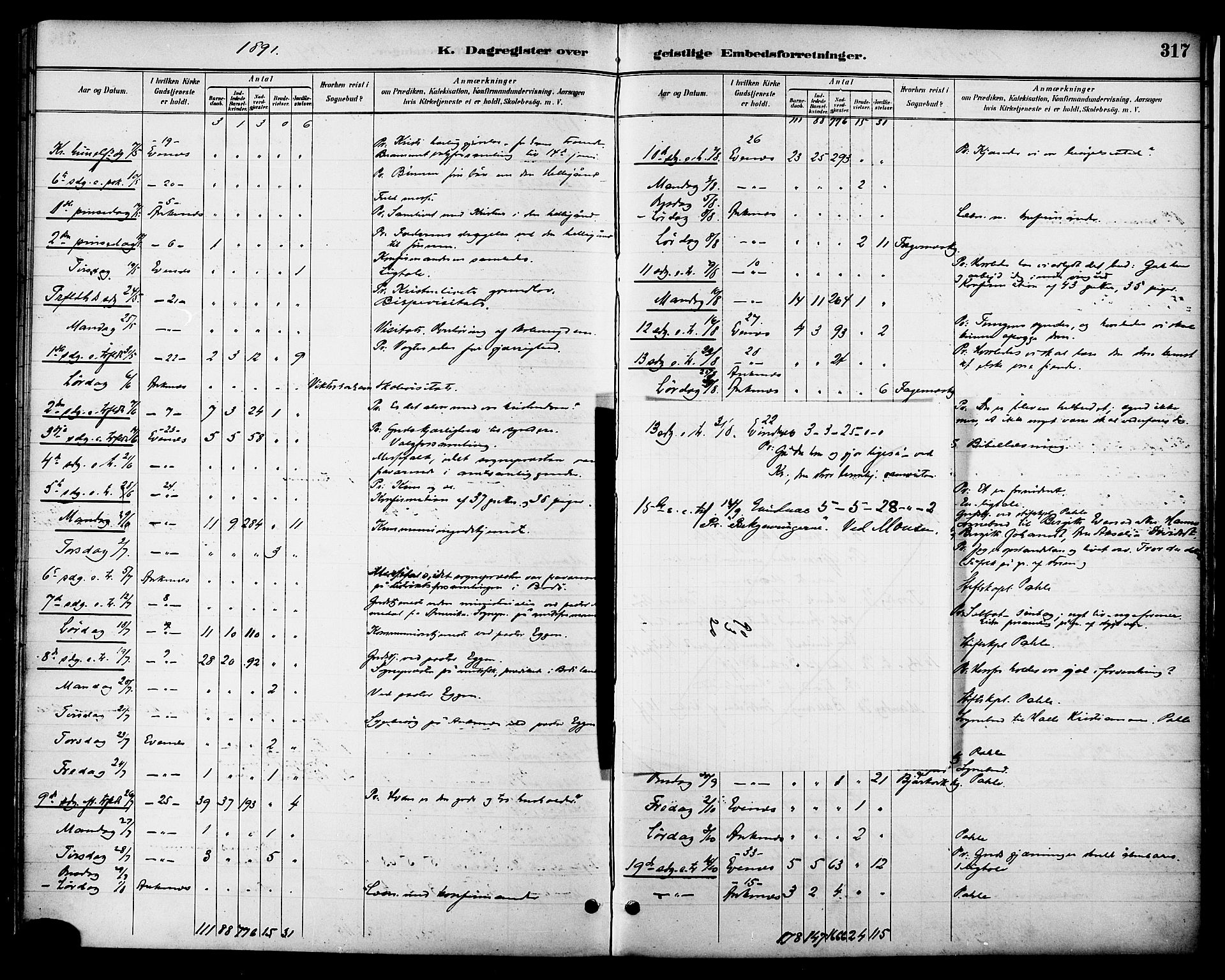 Ministerialprotokoller, klokkerbøker og fødselsregistre - Nordland, AV/SAT-A-1459/863/L0898: Ministerialbok nr. 863A10, 1886-1897, s. 317