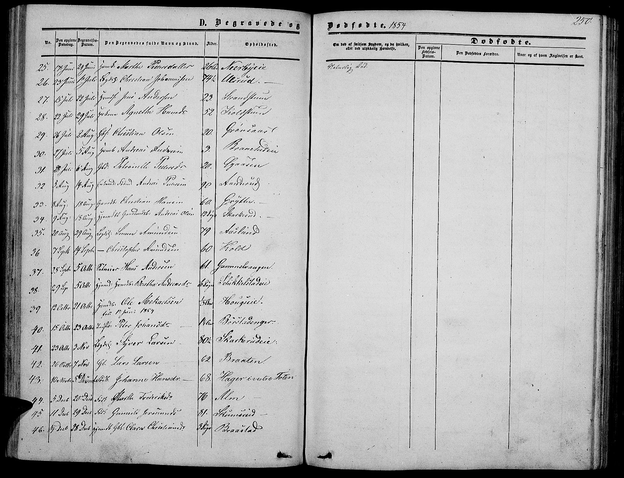 Vardal prestekontor, AV/SAH-PREST-100/H/Ha/Hab/L0005: Klokkerbok nr. 5, 1854-1868, s. 250