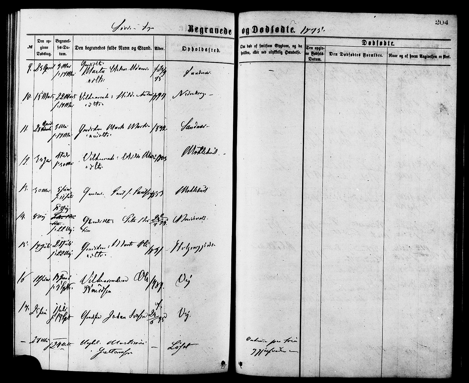 Ministerialprotokoller, klokkerbøker og fødselsregistre - Møre og Romsdal, AV/SAT-A-1454/502/L0024: Ministerialbok nr. 502A02, 1873-1884, s. 204