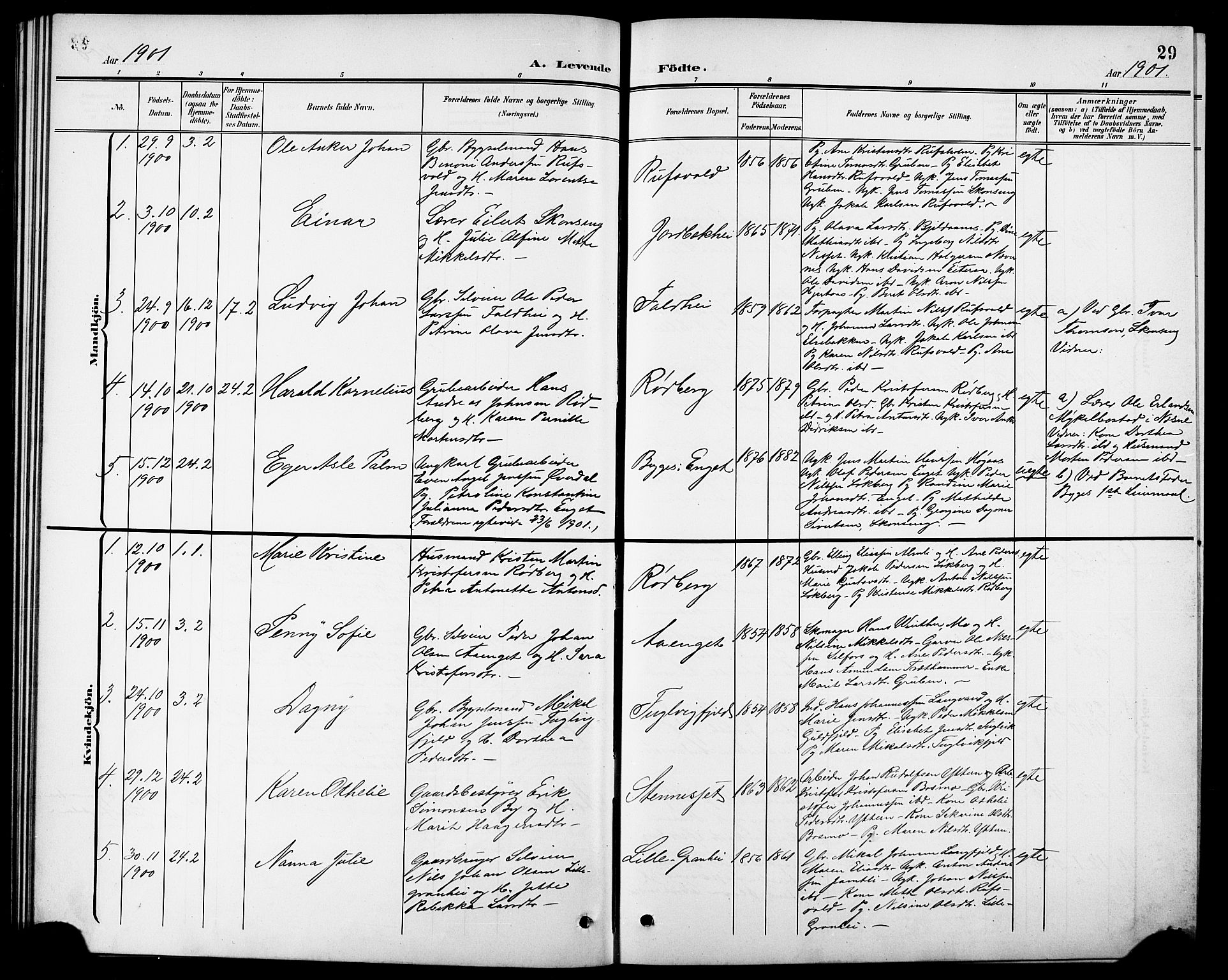 Ministerialprotokoller, klokkerbøker og fødselsregistre - Nordland, AV/SAT-A-1459/827/L0422: Klokkerbok nr. 827C11, 1899-1912, s. 29
