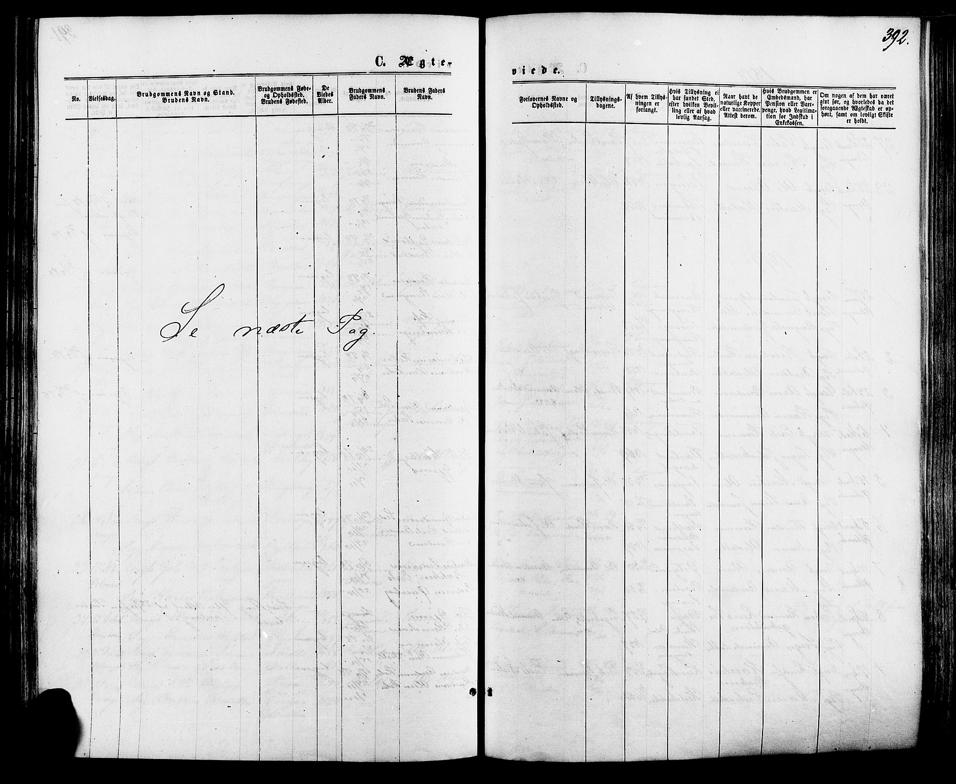 Vinger prestekontor, SAH/PREST-024/H/Ha/Haa/L0012: Ministerialbok nr. 12, 1871-1880, s. 392