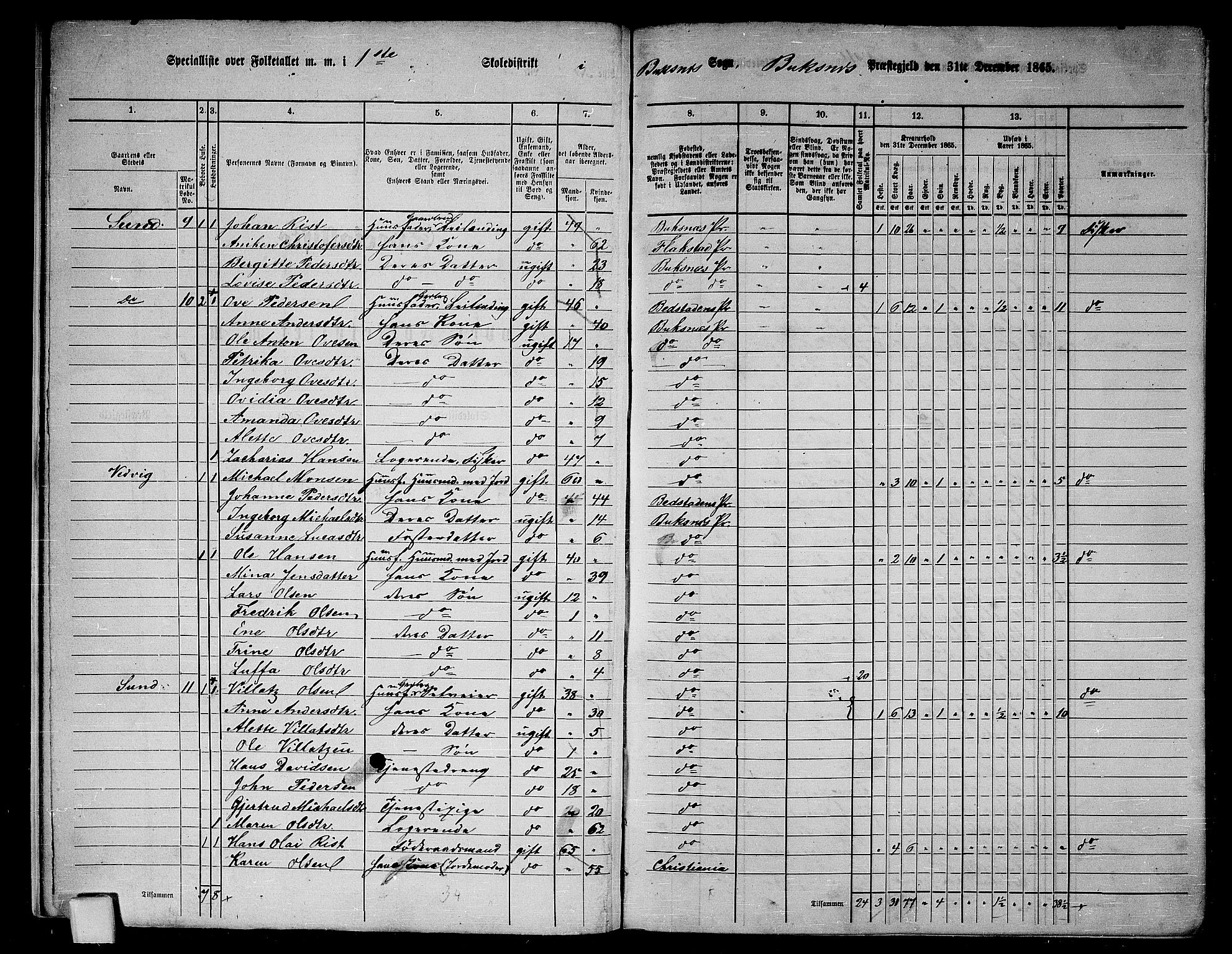 RA, Folketelling 1865 for 1860P Buksnes prestegjeld, 1865, s. 10