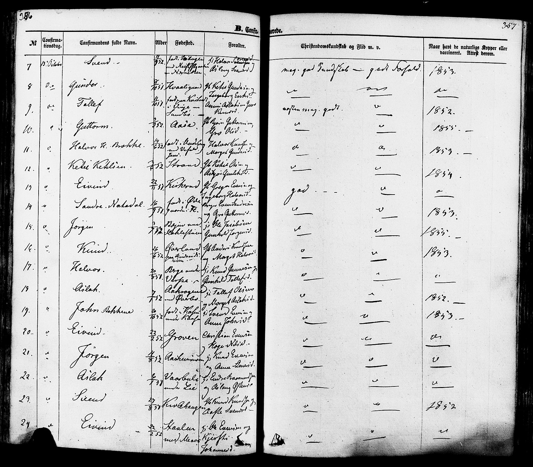 Seljord kirkebøker, SAKO/A-20/F/Fa/L0013: Ministerialbok nr. I 13, 1866-1876, s. 356-357