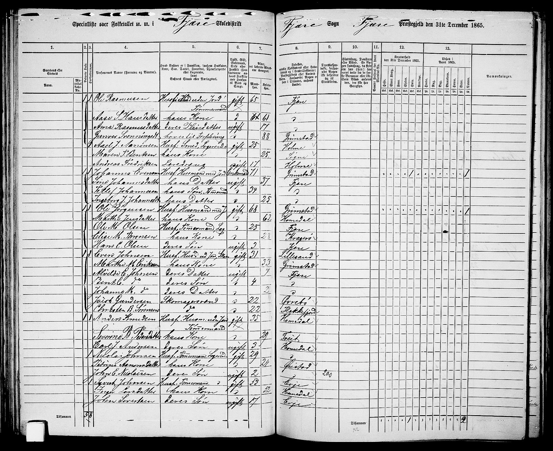 RA, Folketelling 1865 for 0923L Fjære prestegjeld, Fjære sokn, 1865, s. 66