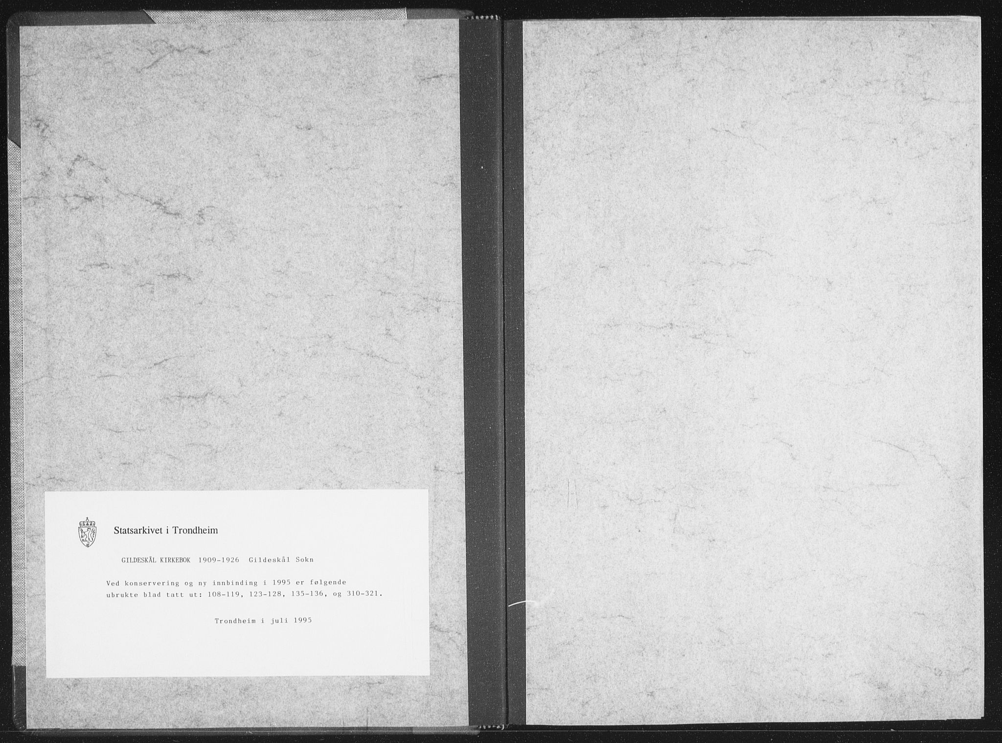 Ministerialprotokoller, klokkerbøker og fødselsregistre - Nordland, SAT/A-1459/805/L0104: Ministerialbok nr. 805A09, 1909-1926