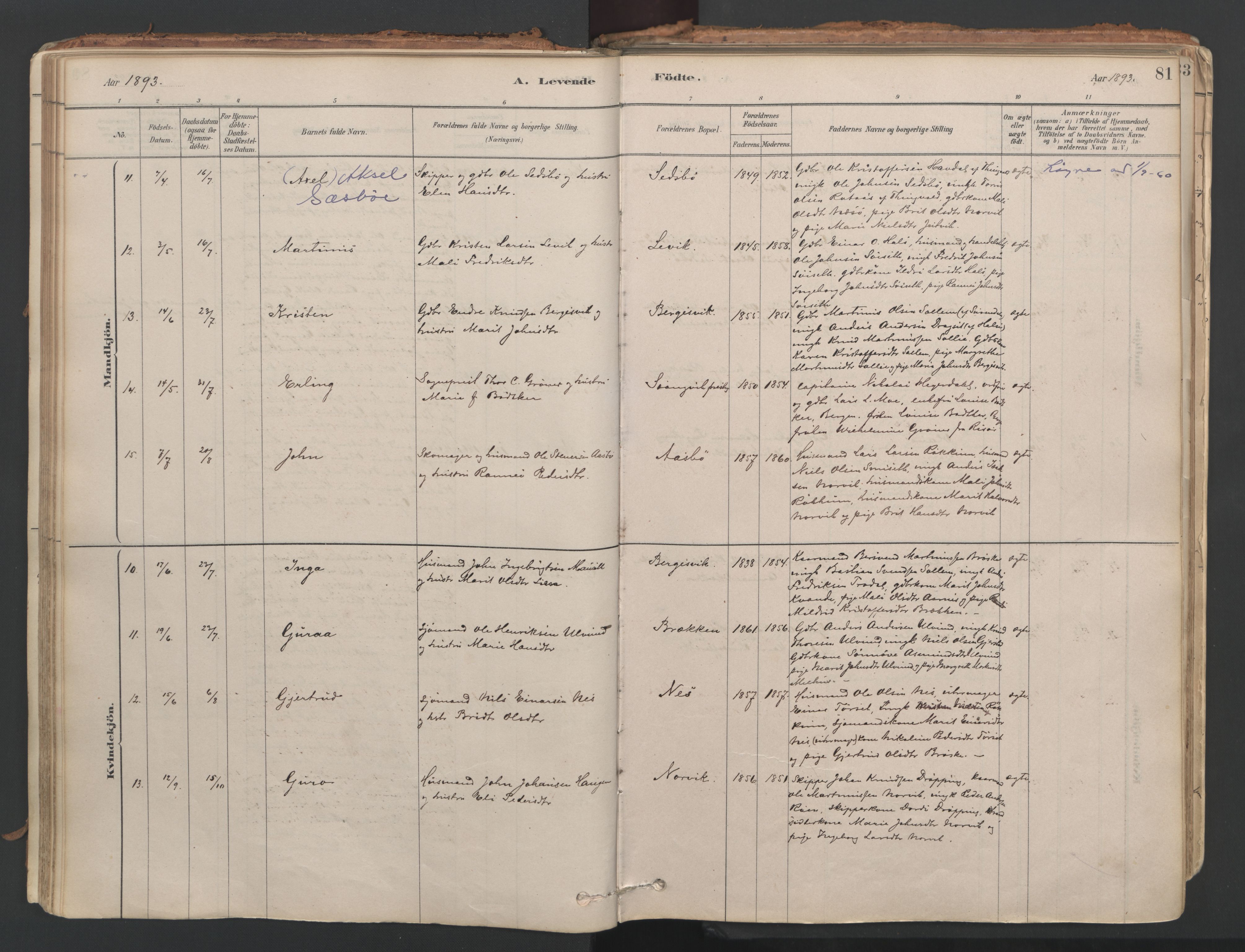 Ministerialprotokoller, klokkerbøker og fødselsregistre - Møre og Romsdal, AV/SAT-A-1454/592/L1029: Ministerialbok nr. 592A07, 1879-1902, s. 81