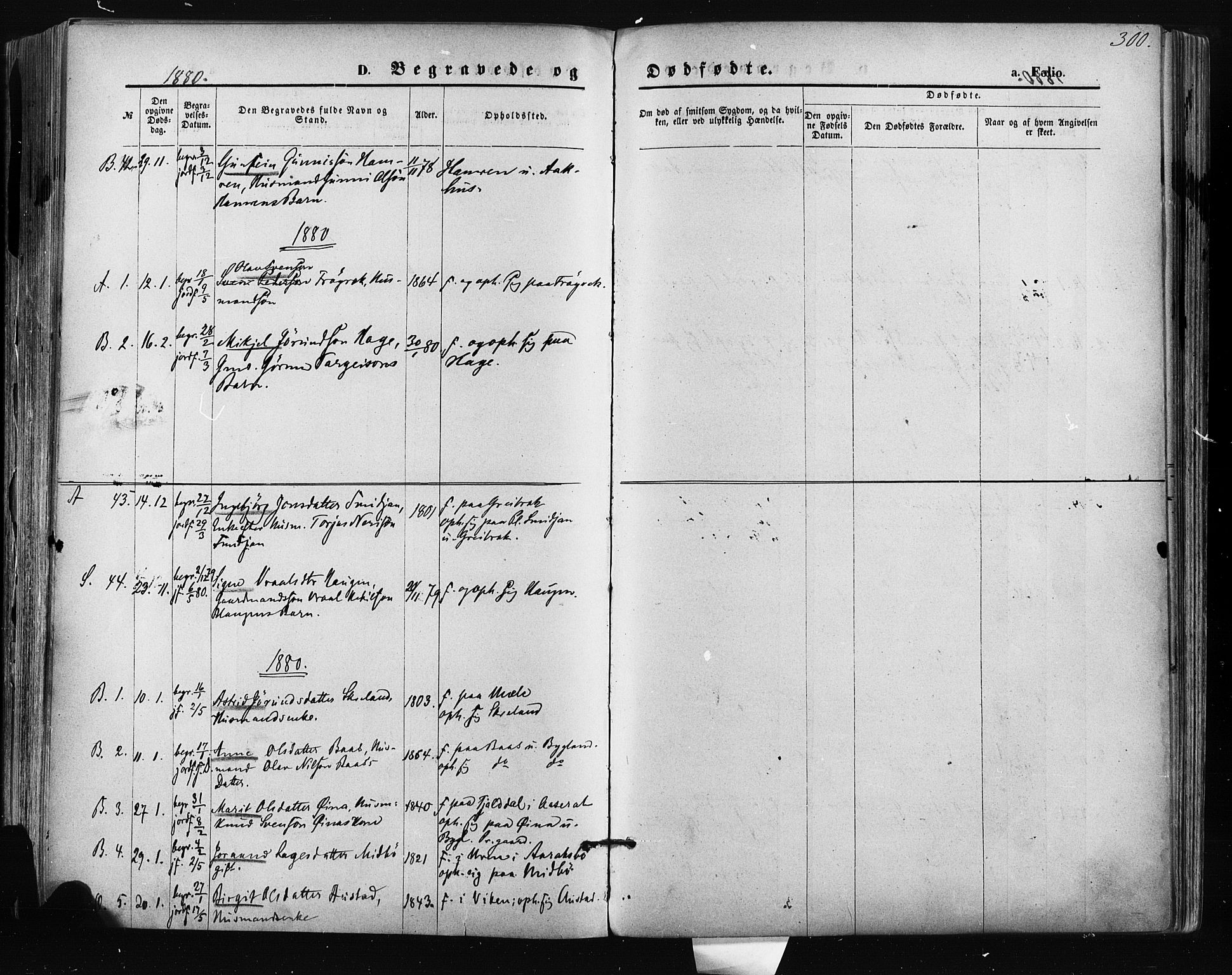 Bygland sokneprestkontor, AV/SAK-1111-0006/F/Fa/Fab/L0006: Ministerialbok nr. A 6, 1873-1884, s. 300
