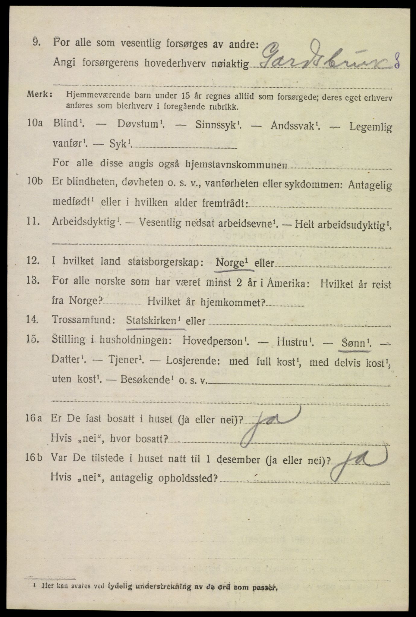 SAK, Folketelling 1920 for 0936 Hornnes herred, 1920, s. 3120