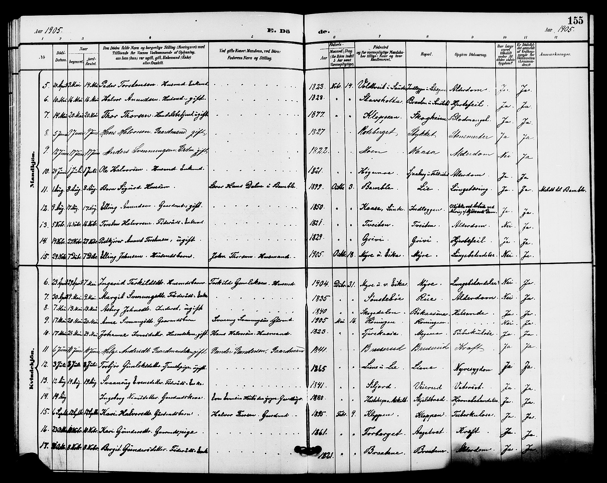 Bø kirkebøker, AV/SAKO-A-257/G/Ga/L0006: Klokkerbok nr. 6, 1898-1909, s. 155