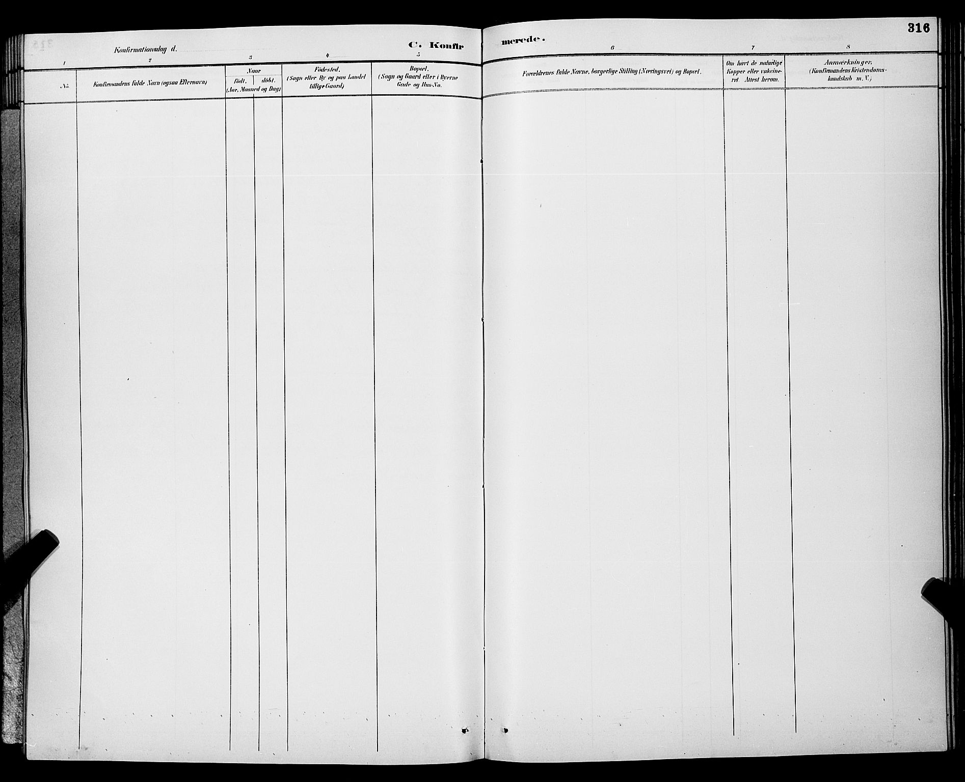 Gjerpen kirkebøker, SAKO/A-265/G/Ga/L0002: Klokkerbok nr. I 2, 1883-1900, s. 316