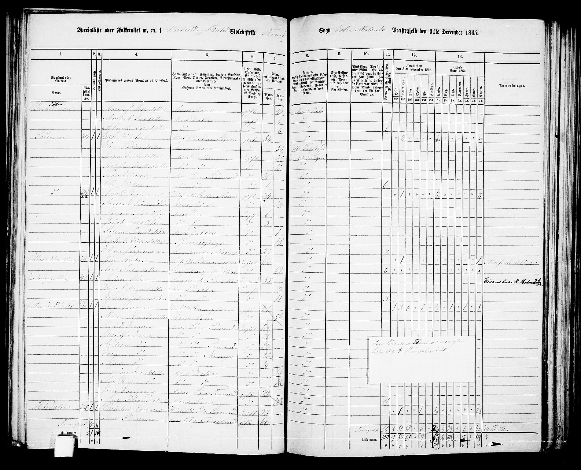 RA, Folketelling 1865 for 0918P Austre Moland prestegjeld, 1865, s. 147