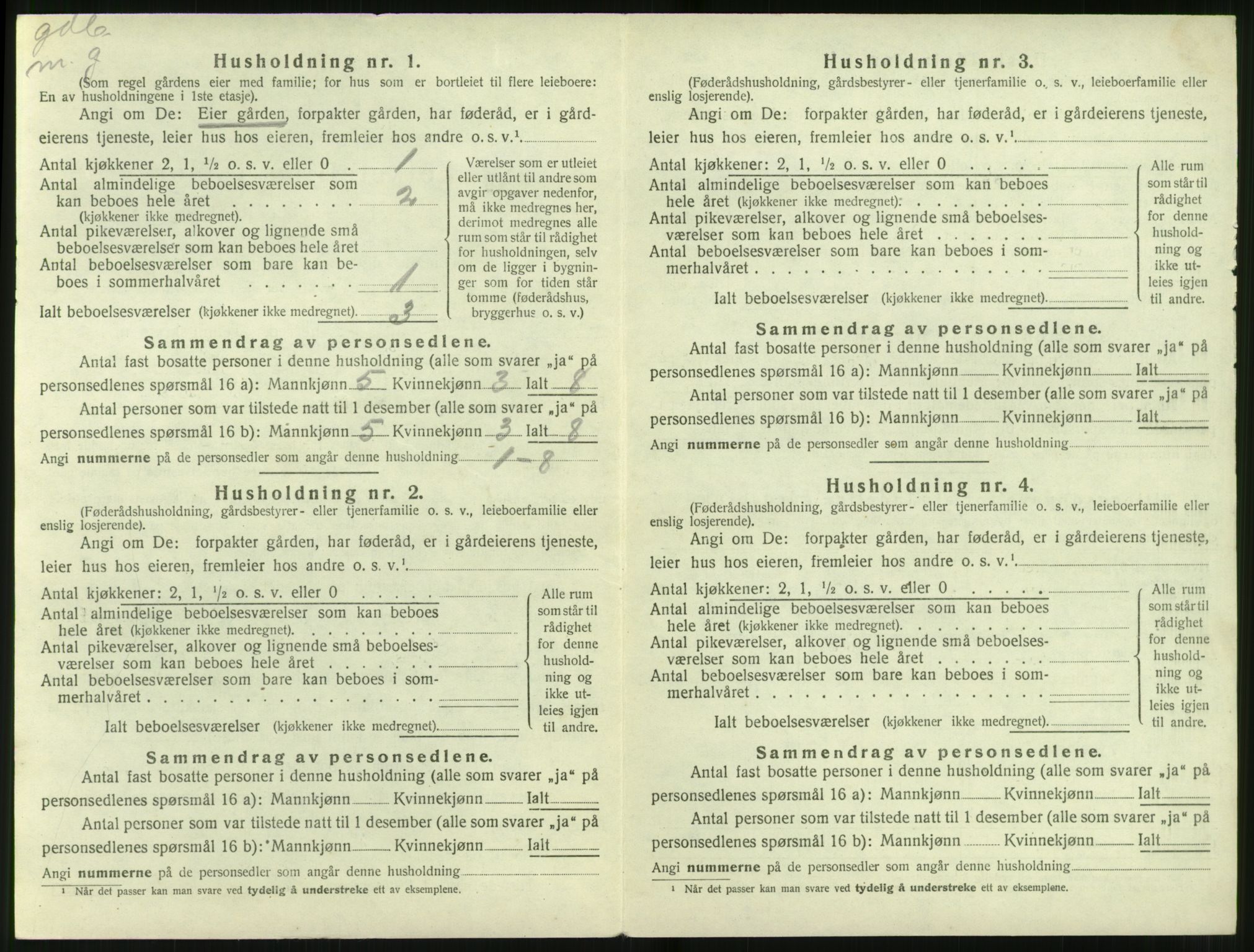 SAT, Folketelling 1920 for 1520 Ørsta herred, 1920, s. 507