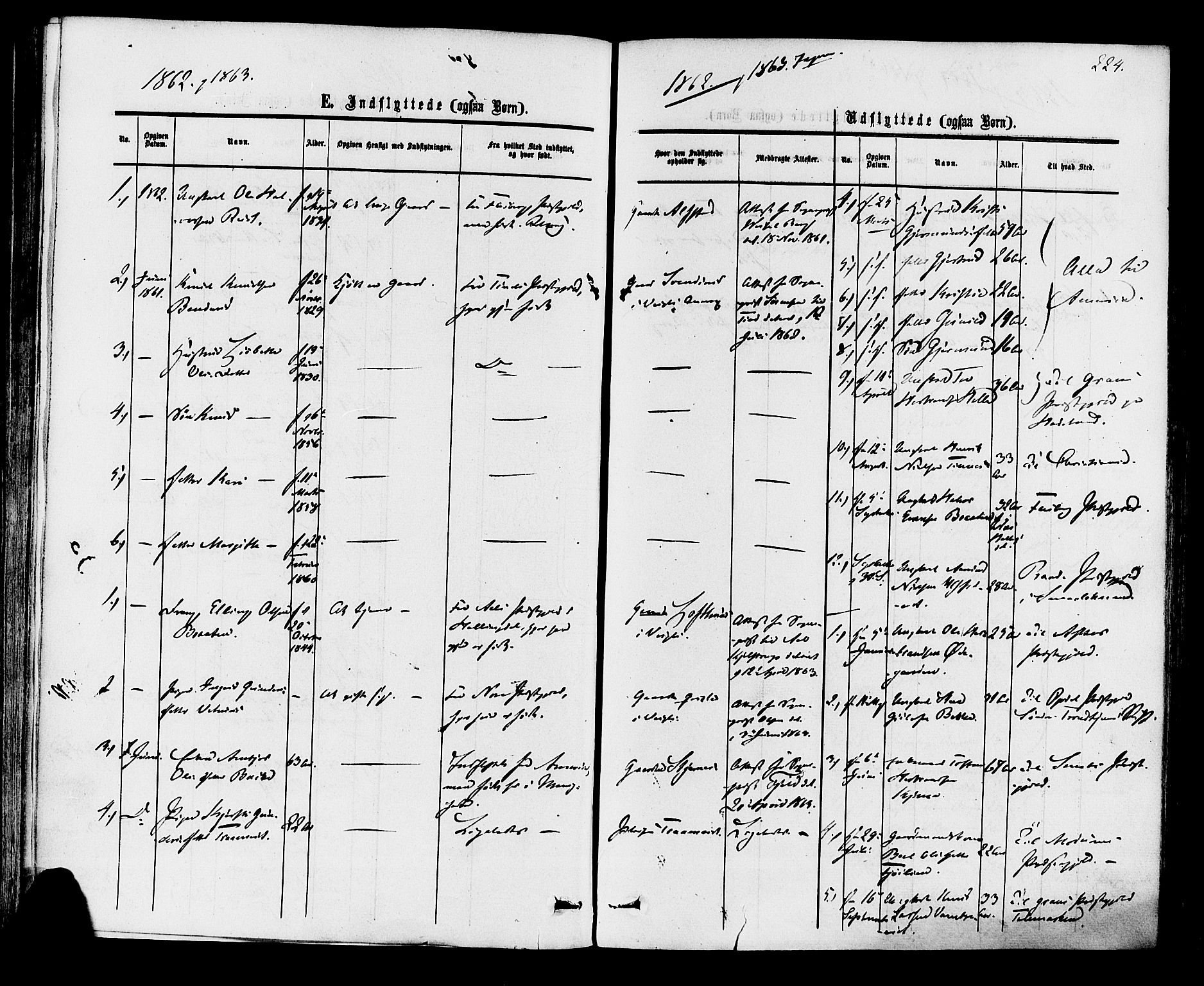 Rollag kirkebøker, AV/SAKO-A-240/F/Fa/L0009: Ministerialbok nr. I 9, 1860-1874, s. 224