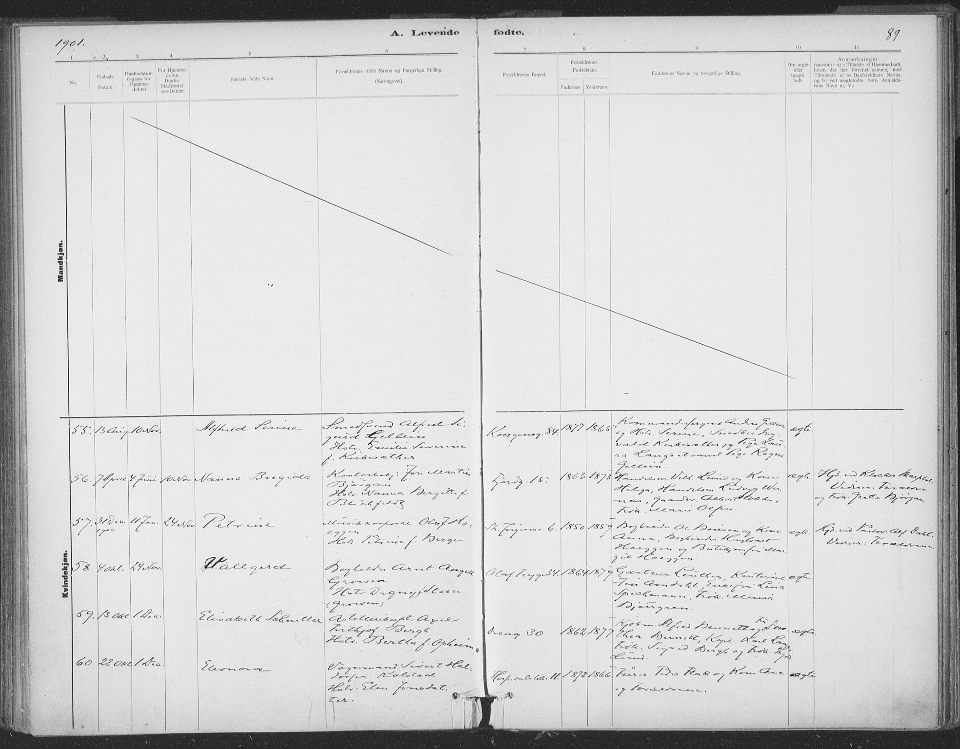 Ministerialprotokoller, klokkerbøker og fødselsregistre - Sør-Trøndelag, SAT/A-1456/602/L0122: Ministerialbok nr. 602A20, 1892-1908, s. 89