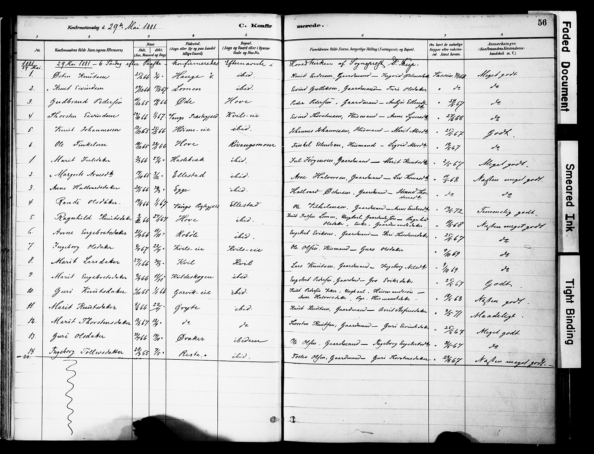 Vestre Slidre prestekontor, AV/SAH-PREST-136/H/Ha/Haa/L0005: Ministerialbok nr. 5, 1881-1912, s. 56