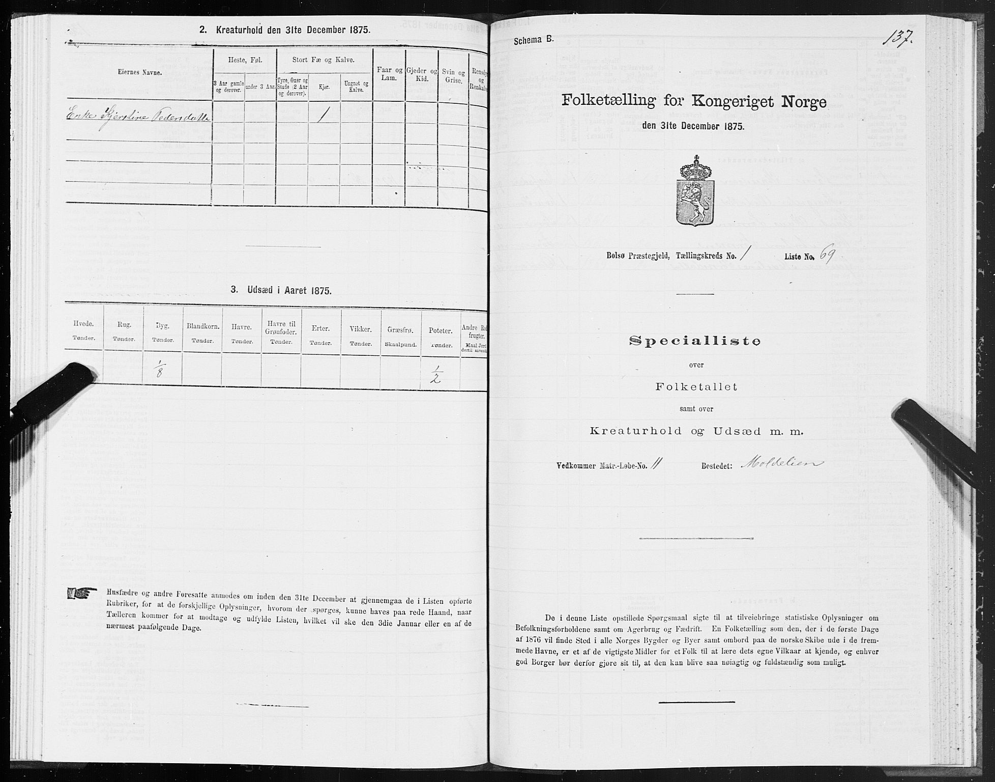 SAT, Folketelling 1875 for 1544P Bolsøy prestegjeld, 1875, s. 1137