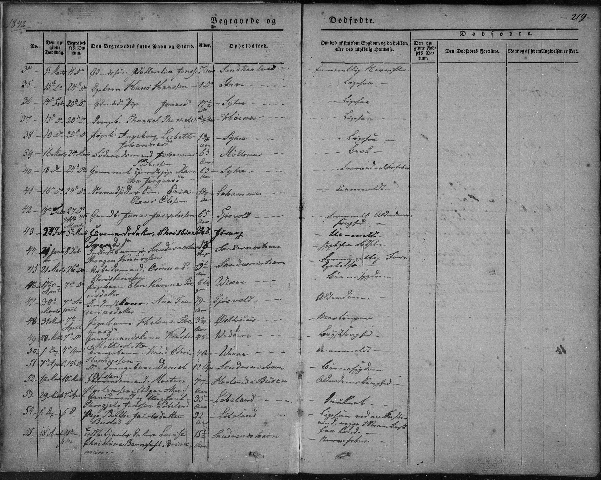 Skudenes sokneprestkontor, AV/SAST-A -101849/H/Ha/Haa/L0003: Ministerialbok nr. A 2.2, 1841-1846, s. 219