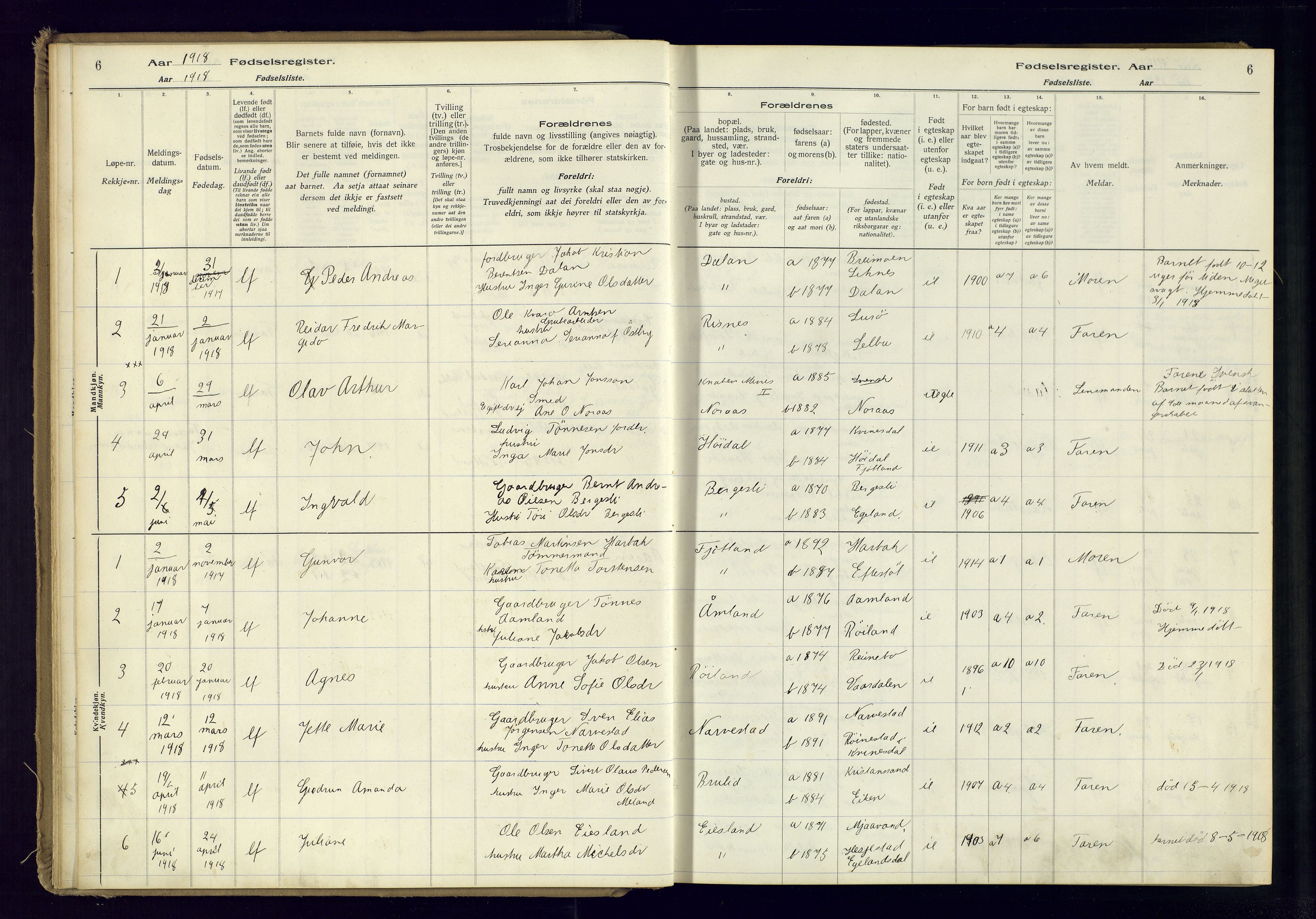 Fjotland sokneprestkontor, AV/SAK-1111-0010/J/Ja/L0001: Fødselsregister nr. 1, 1916-1981, s. 6