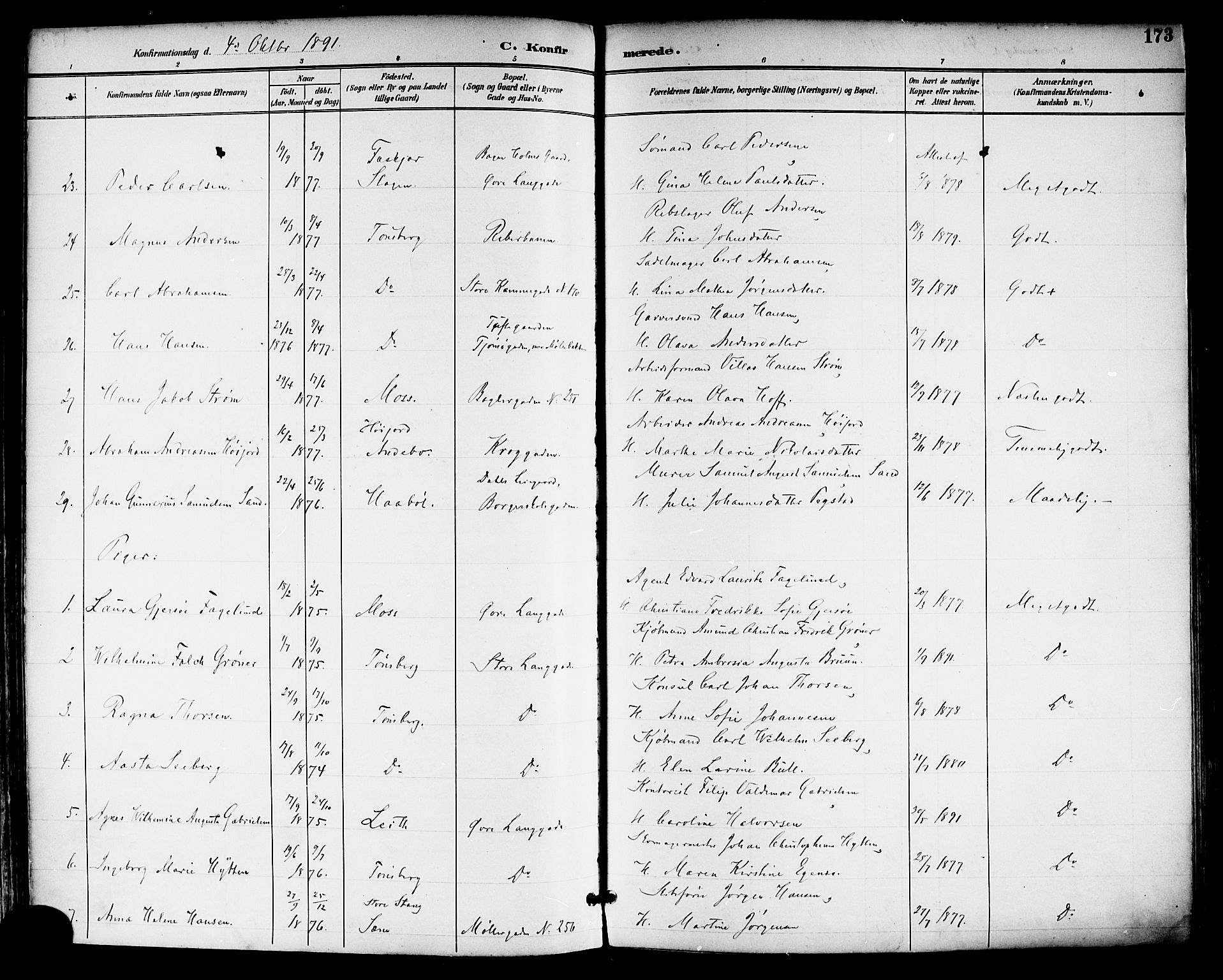 Tønsberg kirkebøker, AV/SAKO-A-330/F/Fa/L0012: Ministerialbok nr. I 12, 1891-1899, s. 173