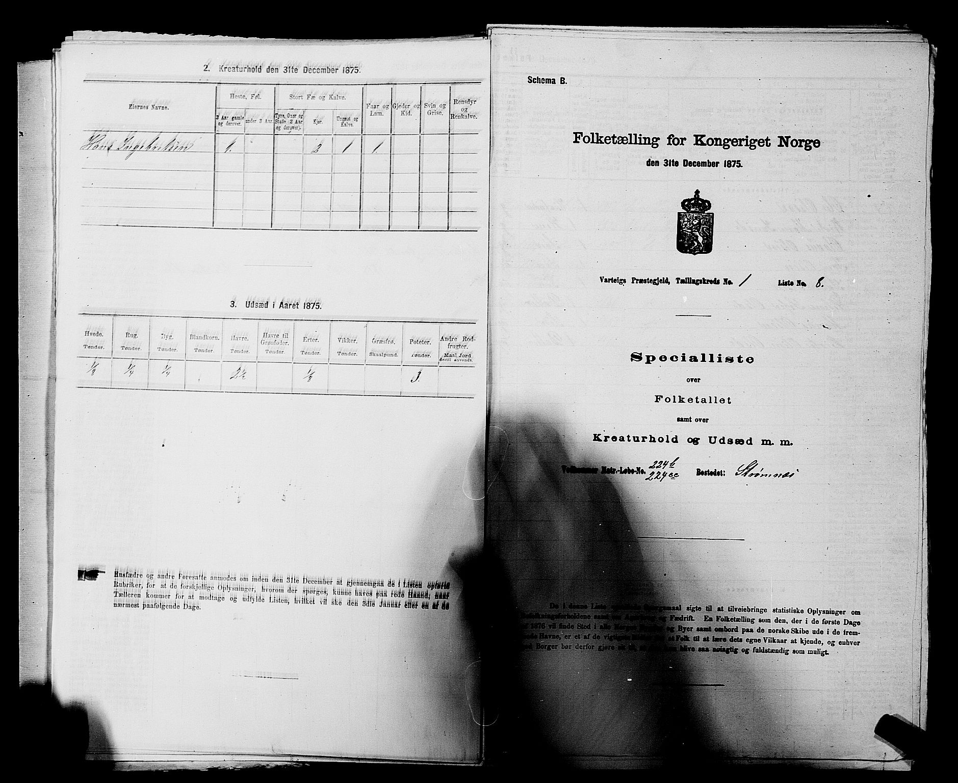 RA, Folketelling 1875 for 0114P Varteig prestegjeld, 1875, s. 31