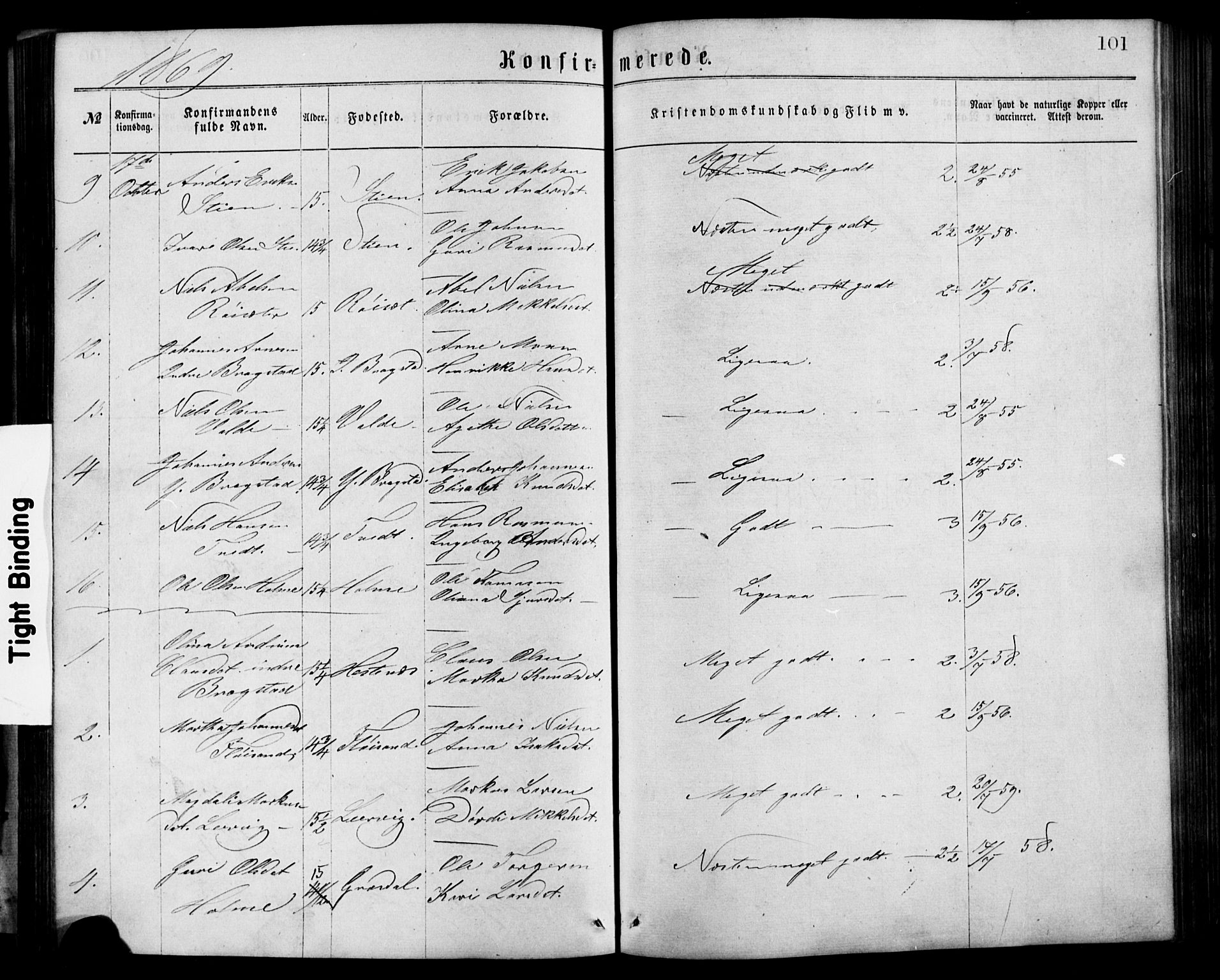 Alversund Sokneprestembete, AV/SAB-A-73901/H/Ha/Hab: Klokkerbok nr. C 2, 1867-1880, s. 101