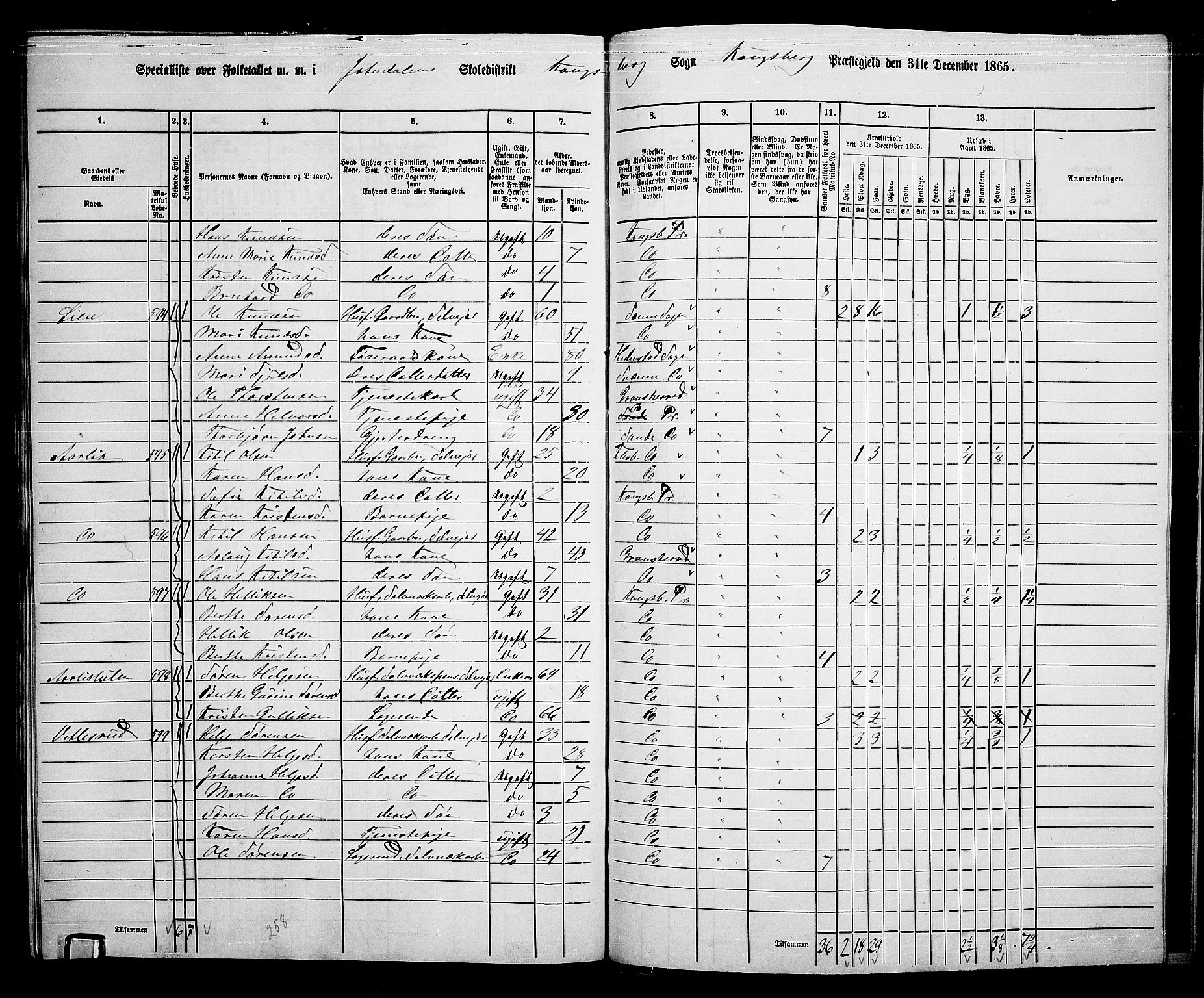 RA, Folketelling 1865 for 0692L Kongsberg prestegjeld, Kongsberg landsokn, 1865, s. 12