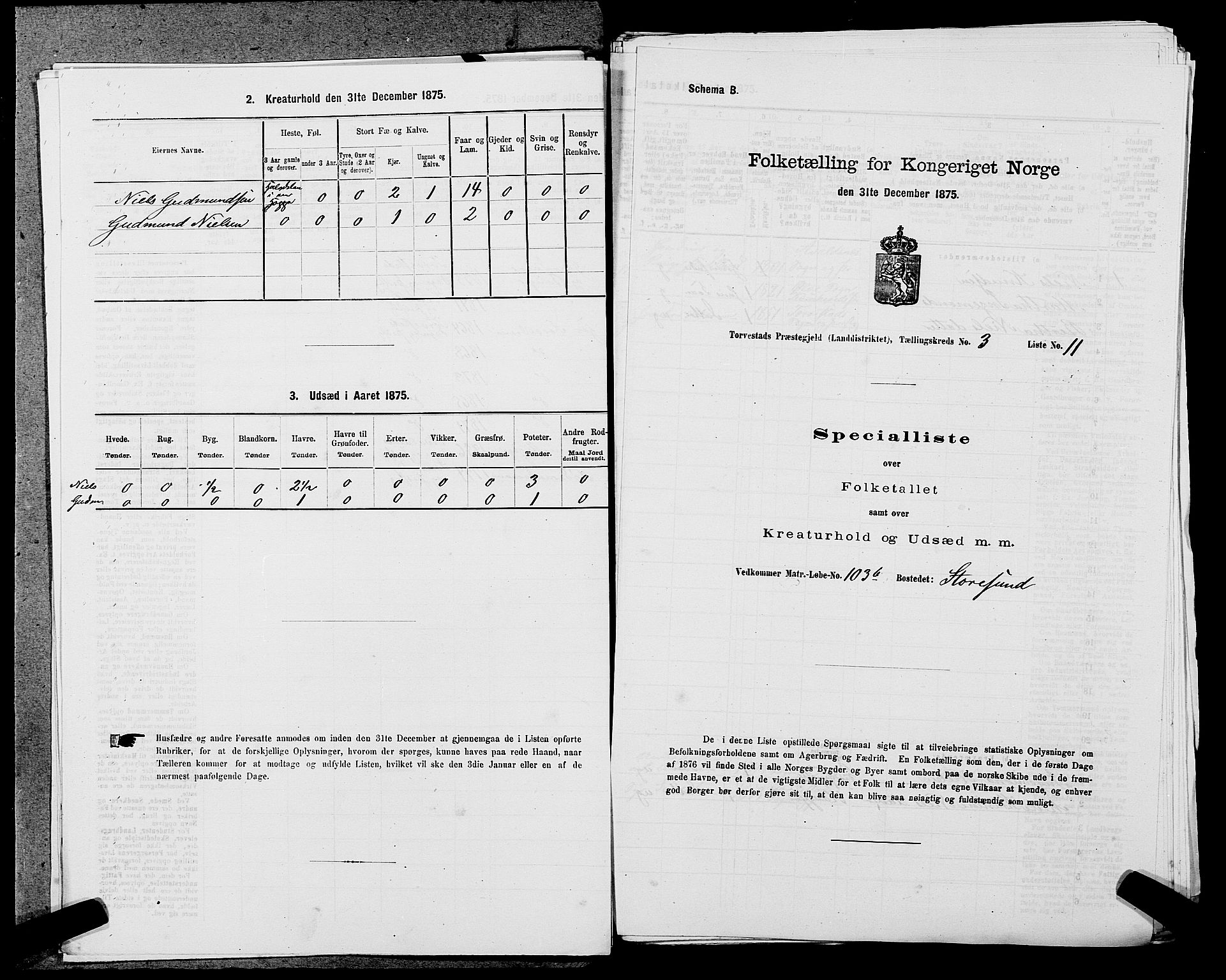 SAST, Folketelling 1875 for 1152L Torvastad prestegjeld, Torvastad sokn, Skåre sokn og Utsira sokn, 1875, s. 437