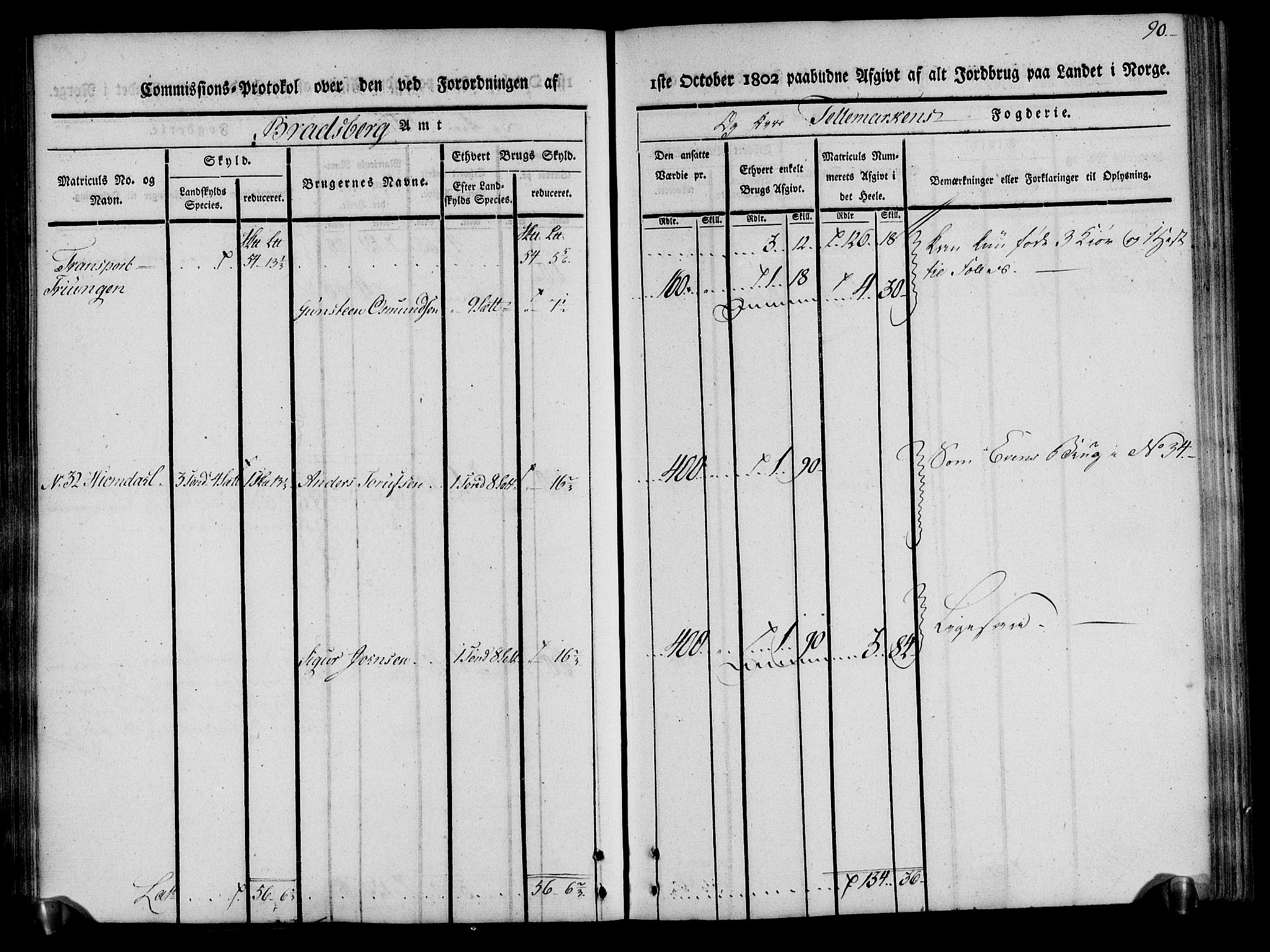 Rentekammeret inntil 1814, Realistisk ordnet avdeling, RA/EA-4070/N/Ne/Nea/L0075: Øvre Telemarken fogderi. Kommisjonsprotokoll for fogderiets vestre del - Kviteseid, Vinje, Moland [):Fyresdal] og Lårdal prestegjeld., 1803, s. 90