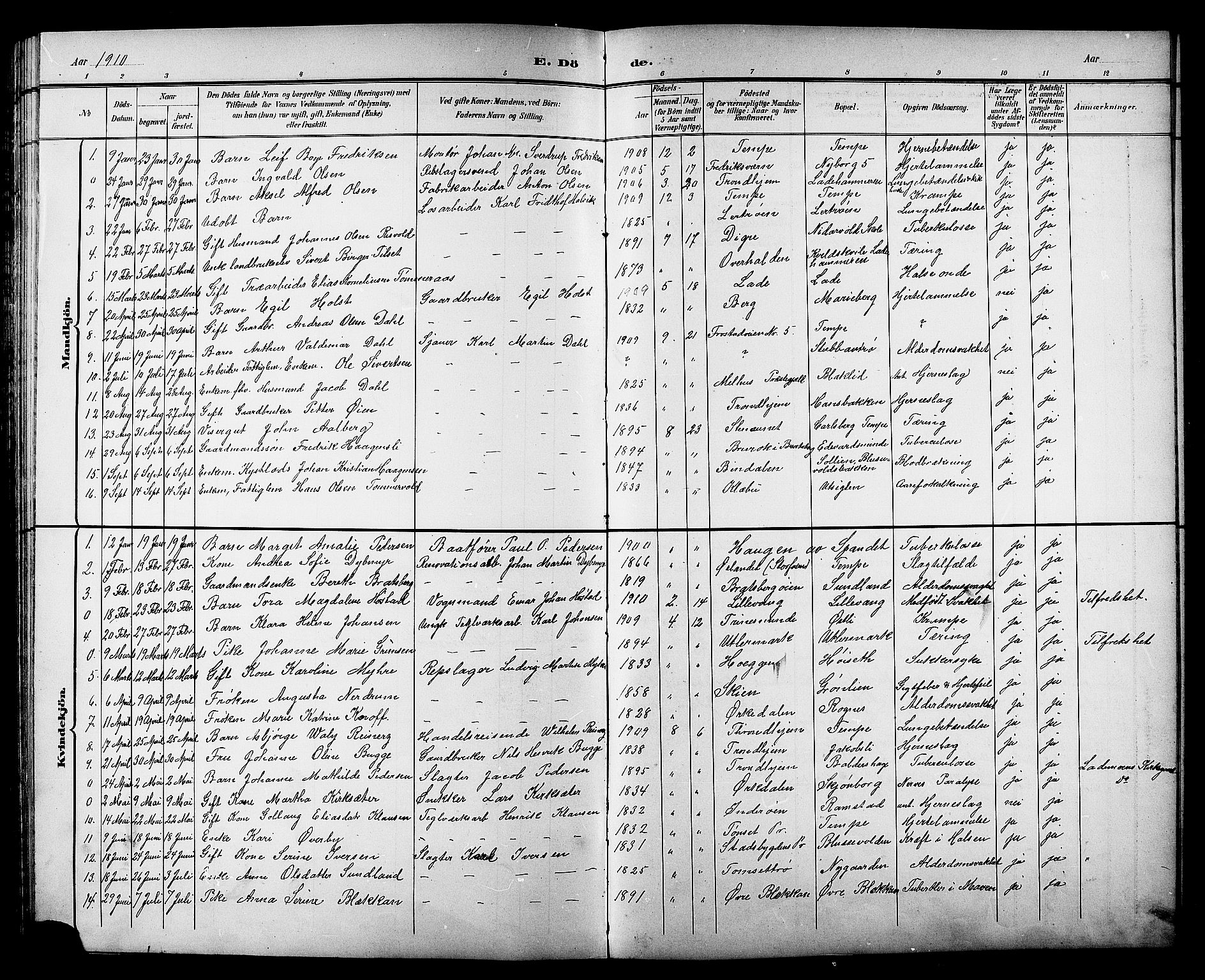Ministerialprotokoller, klokkerbøker og fødselsregistre - Sør-Trøndelag, AV/SAT-A-1456/606/L0313: Klokkerbok nr. 606C09, 1895-1910