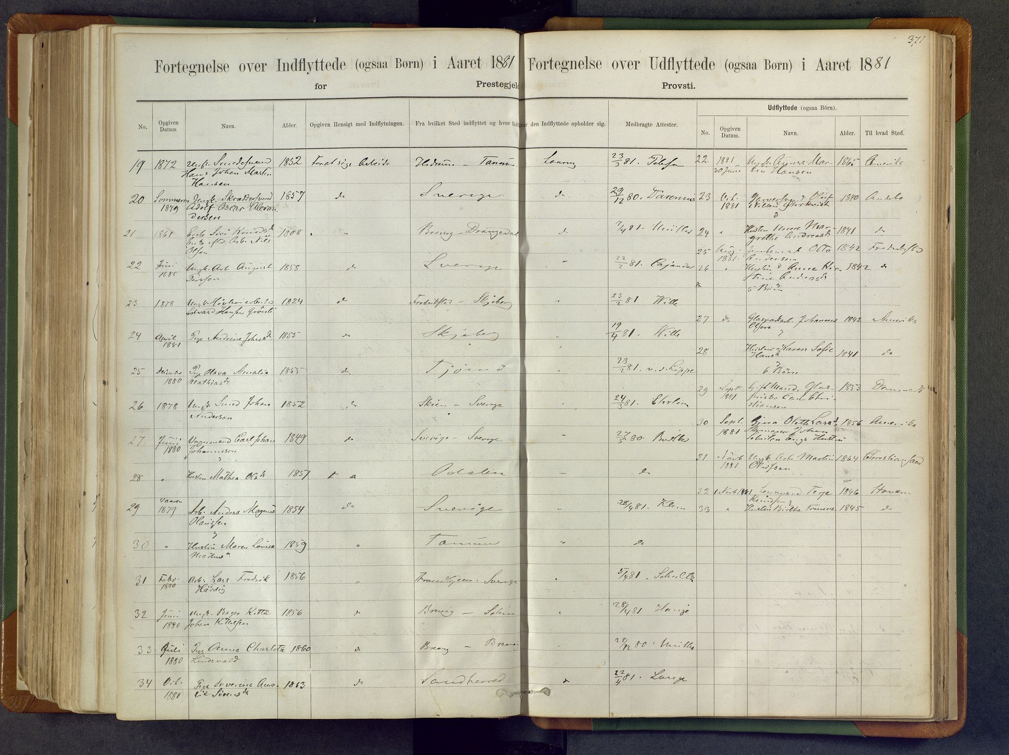 Larvik kirkebøker, AV/SAKO-A-352/F/Fa/L0007: Ministerialbok nr. I 7, 1871-1883, s. 371