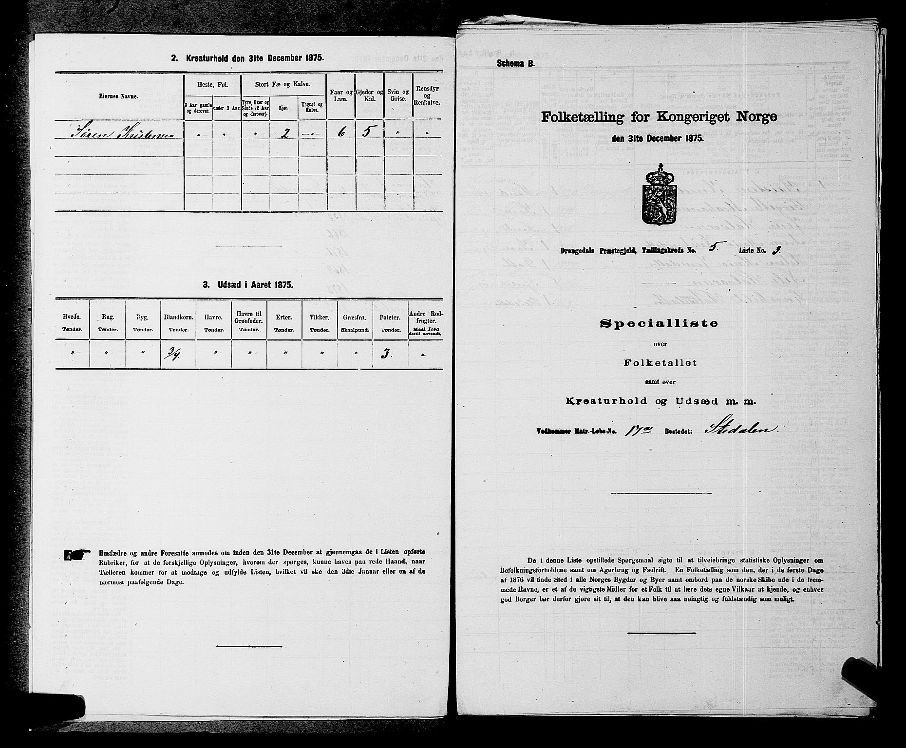 SAKO, Folketelling 1875 for 0817P Drangedal prestegjeld, 1875, s. 489