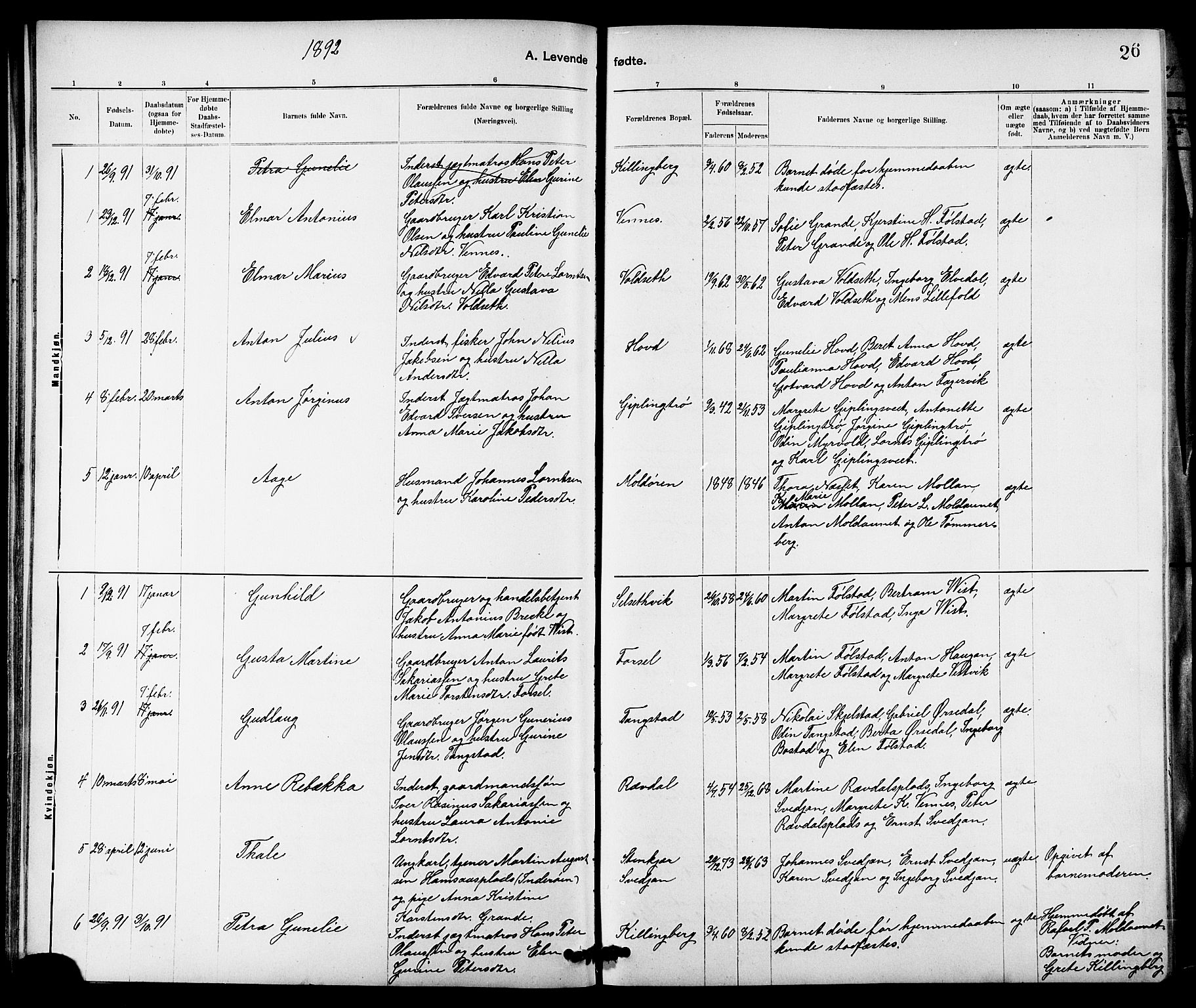 Ministerialprotokoller, klokkerbøker og fødselsregistre - Nord-Trøndelag, SAT/A-1458/744/L0423: Klokkerbok nr. 744C02, 1886-1905, s. 26