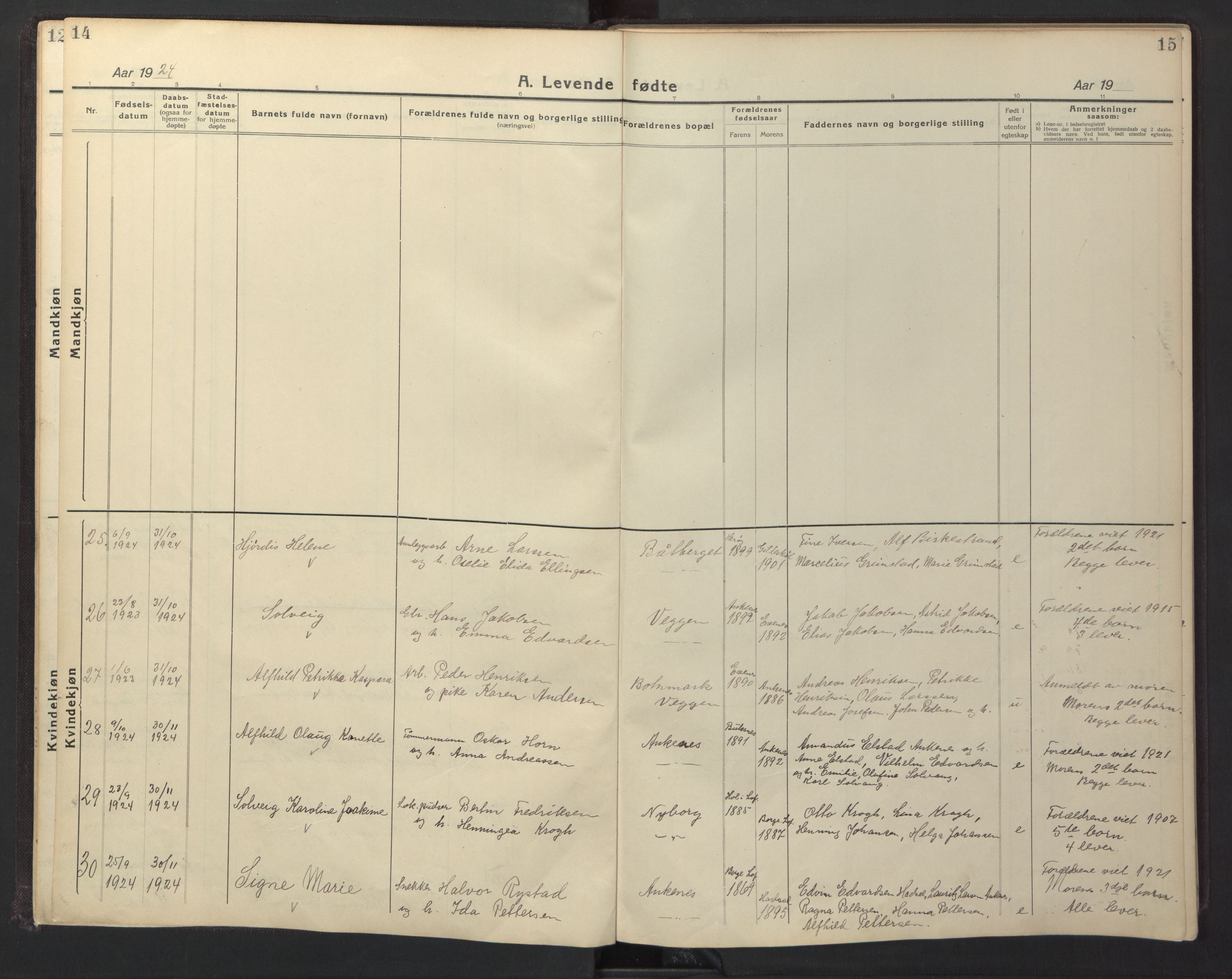 Ministerialprotokoller, klokkerbøker og fødselsregistre - Nordland, AV/SAT-A-1459/866/L0960: Klokkerbok nr. 866C09, 1924-1947, s. 14-15