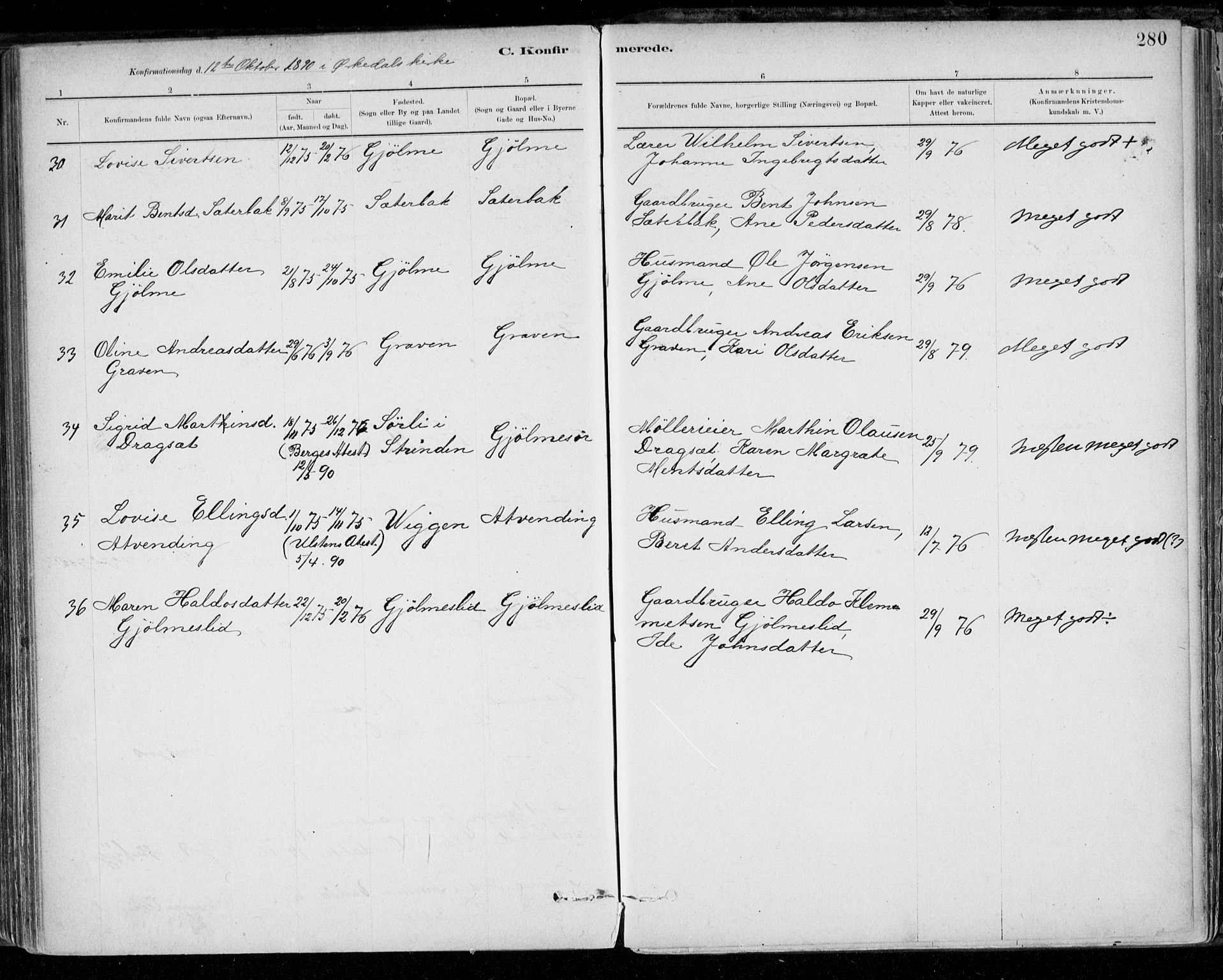 Ministerialprotokoller, klokkerbøker og fødselsregistre - Sør-Trøndelag, AV/SAT-A-1456/668/L0809: Ministerialbok nr. 668A09, 1881-1895, s. 280