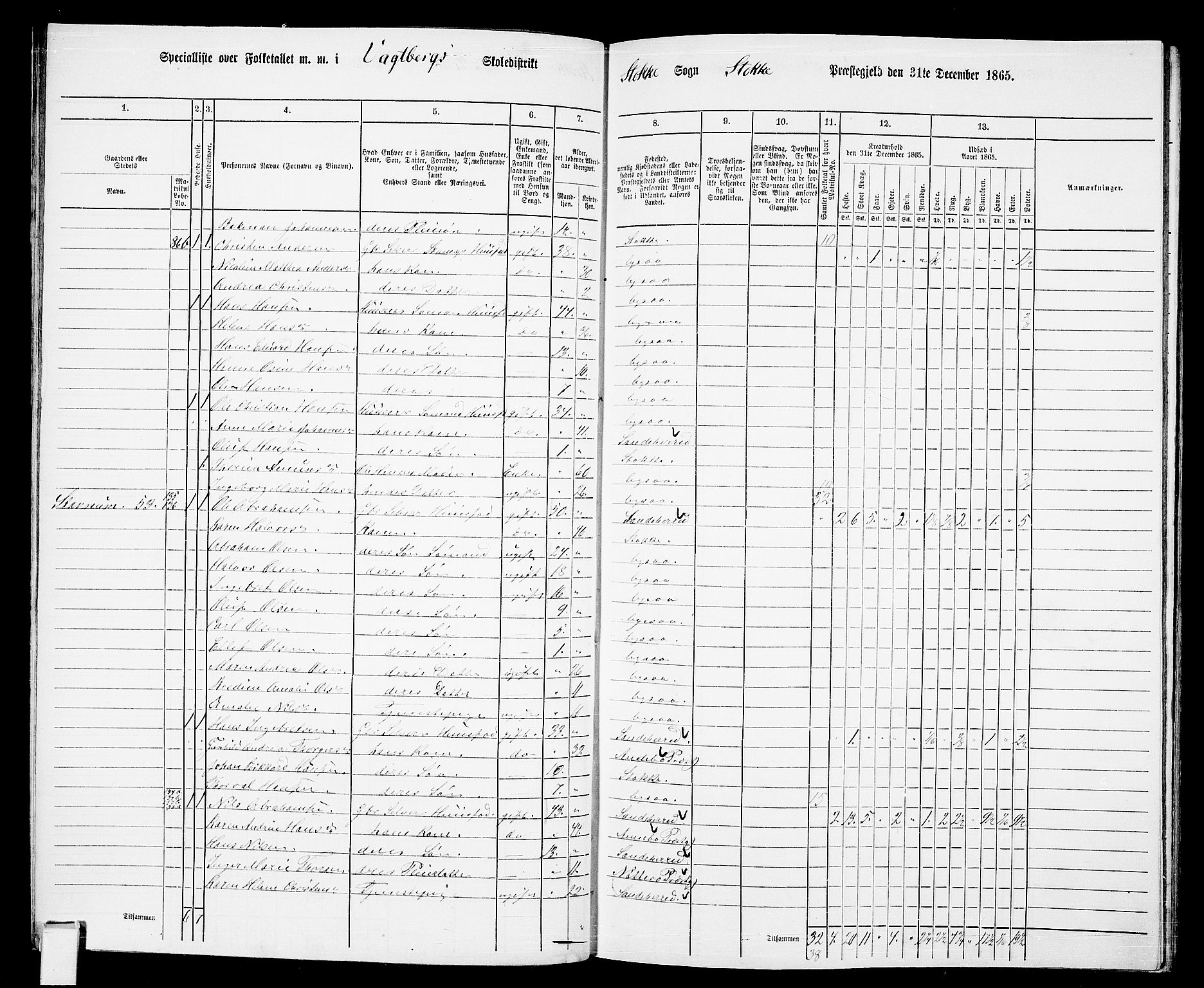 RA, Folketelling 1865 for 0720P Stokke prestegjeld, 1865, s. 69