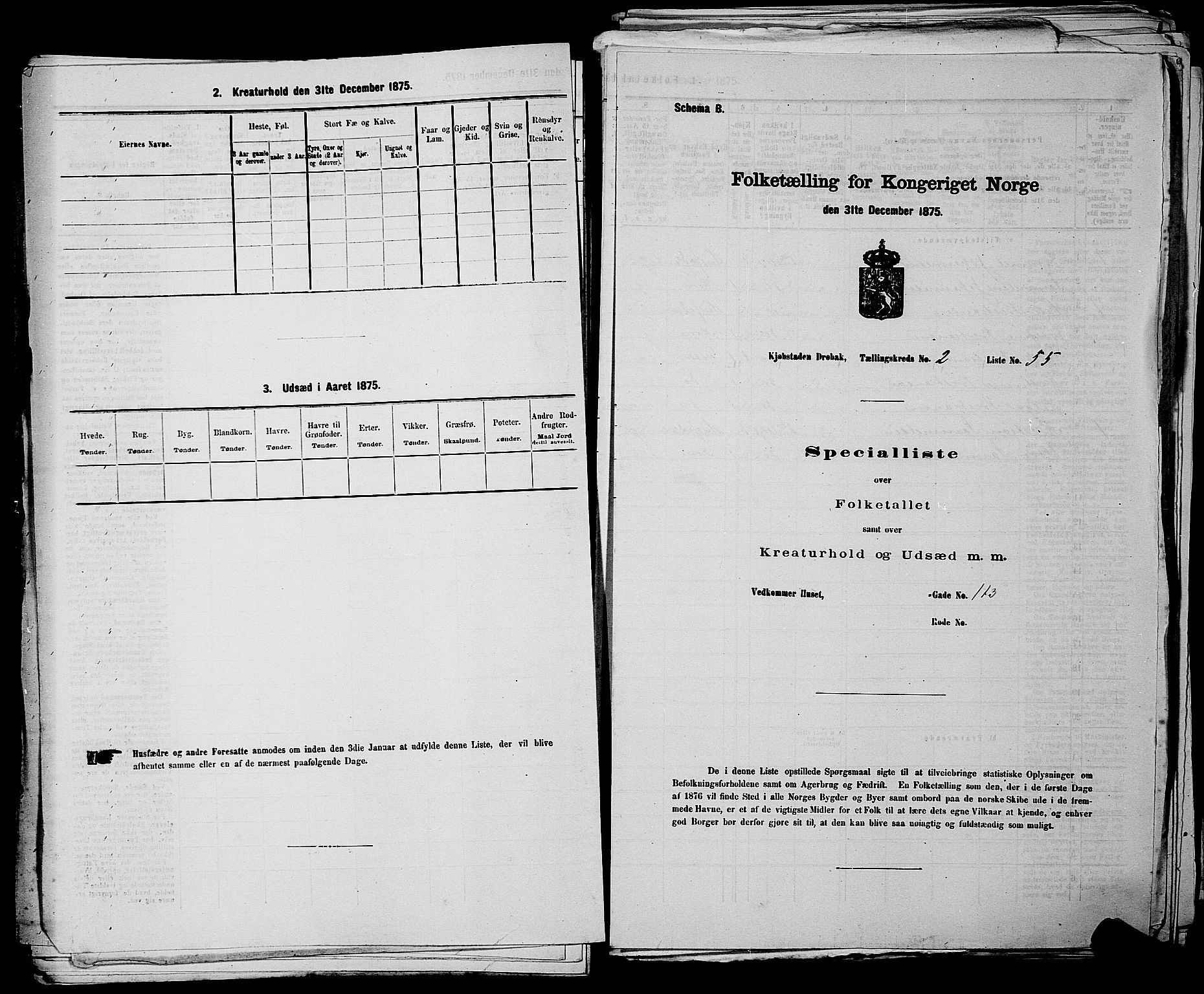 RA, Folketelling 1875 for 0203B Drøbak prestegjeld, Drøbak kjøpstad, 1875, s. 207