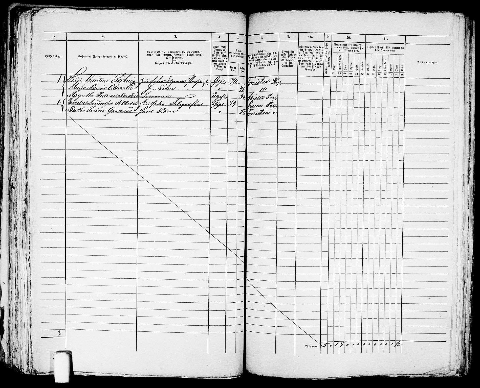 RA, Folketelling 1865 for 1106B Torvastad prestegjeld, Haugesund ladested, 1865, s. 217